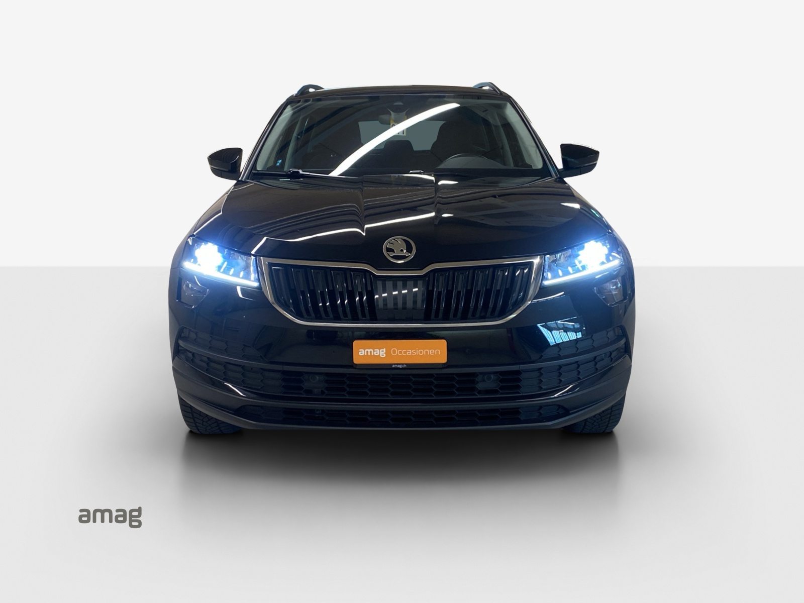 SKODA KAROQ Ambition, Benzina, Occasioni / Usate, Automatico - 7