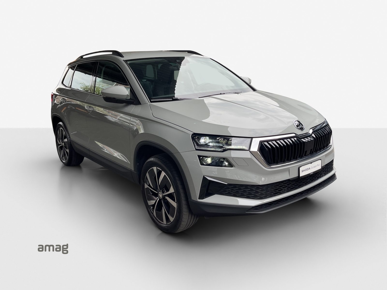 SKODA Karoq Style, Diesel, Occasioni / Usate, Automatico - 6