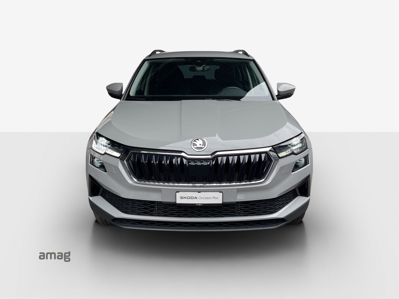 SKODA Karoq Style, Diesel, Occasioni / Usate, Automatico - 7