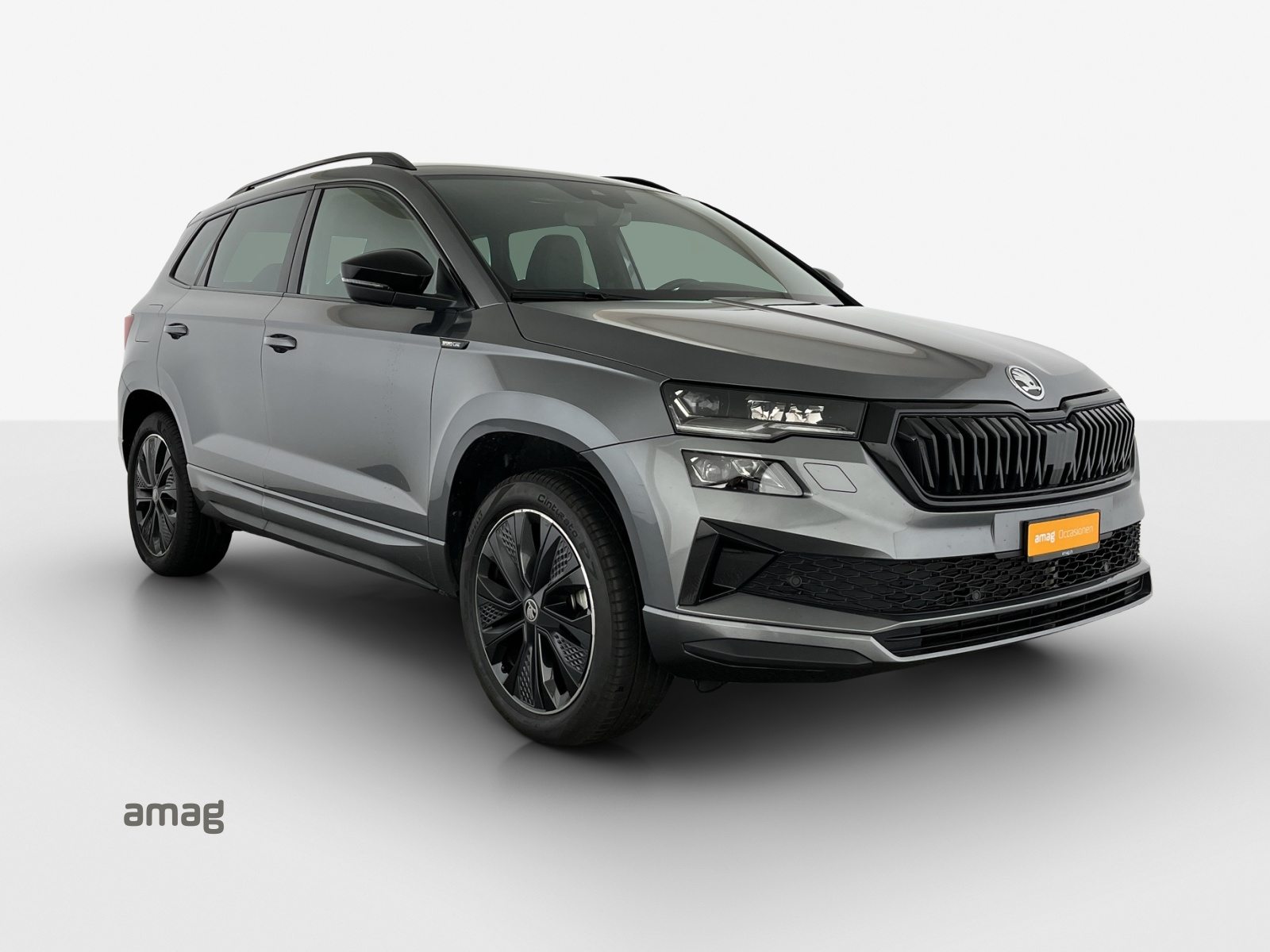 SKODA Karoq Sportline, Benzina, Occasioni / Usate, Automatico - 6