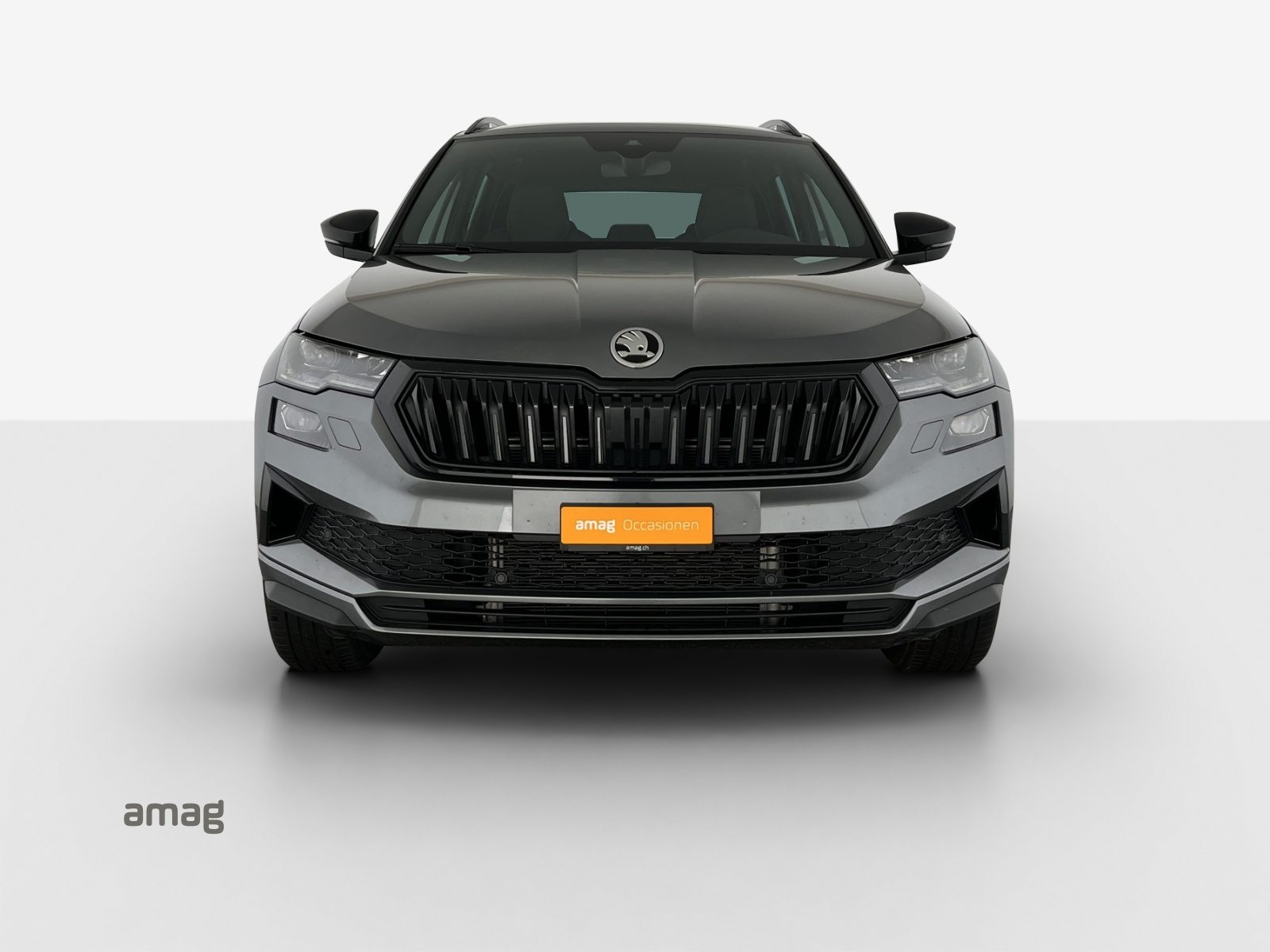 SKODA Karoq Sportline, Benzina, Occasioni / Usate, Automatico - 7
