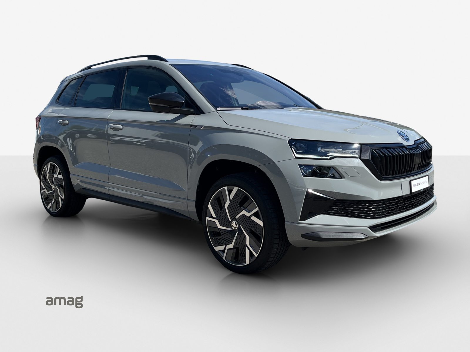 SKODA NEW KAROQ SportLine, Benzina, Occasioni / Usate, Automatico - 6