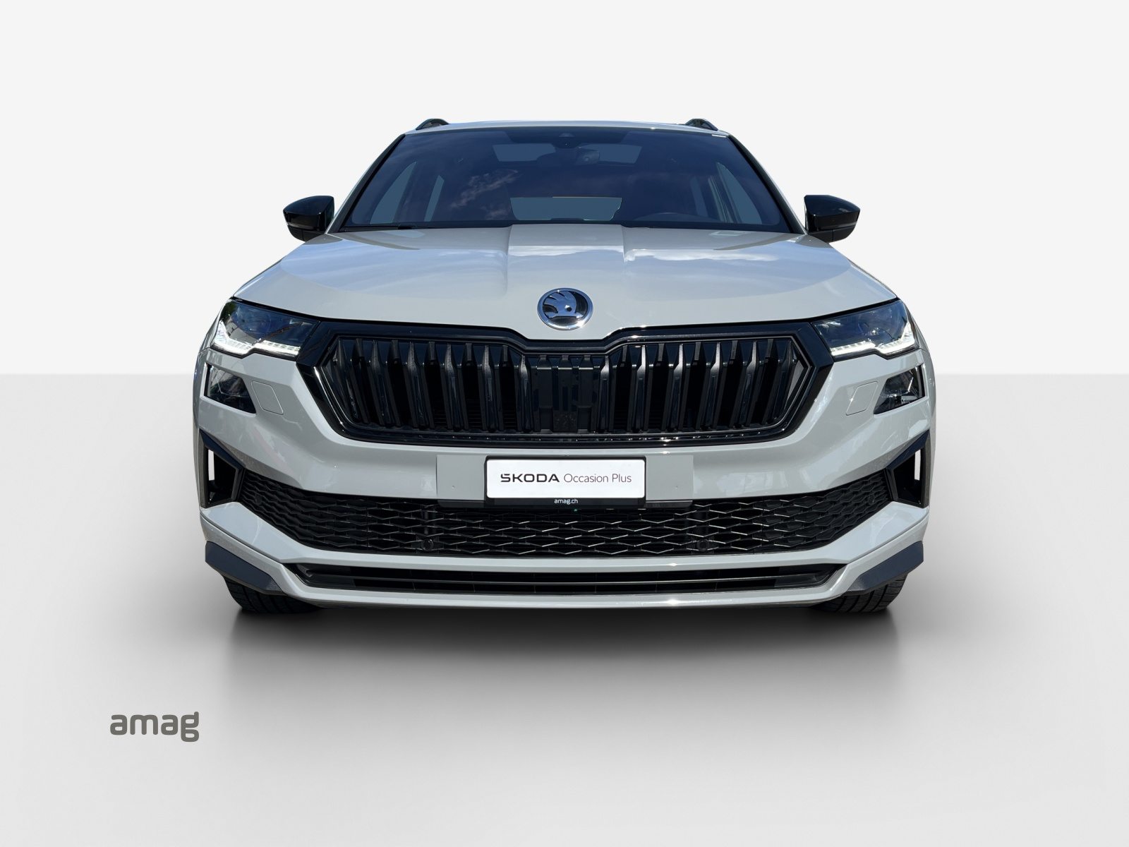 SKODA NEW KAROQ SportLine, Benzina, Occasioni / Usate, Automatico - 7
