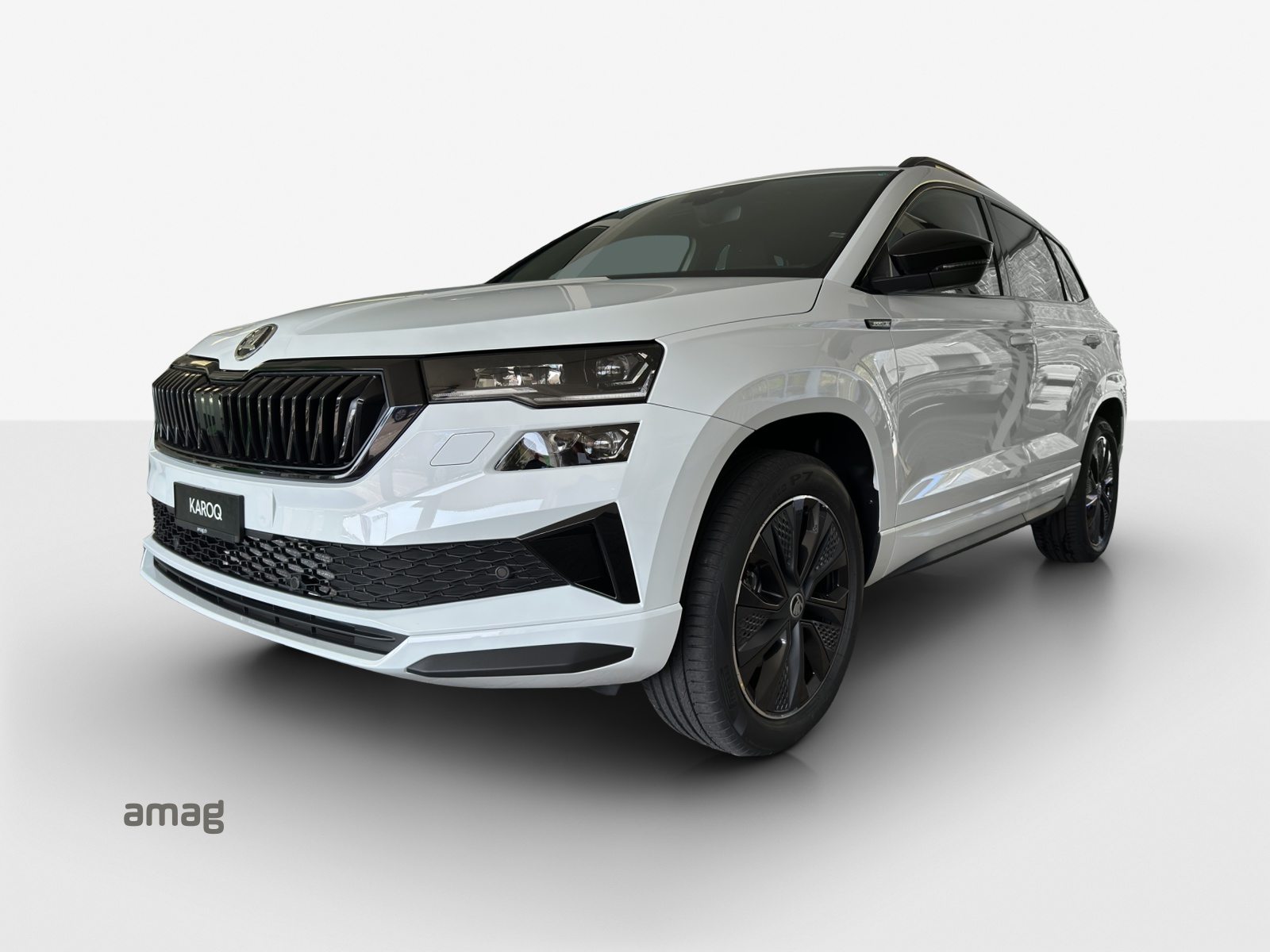 SKODA Karoq «Dynamic» Limited Edition (Netto)