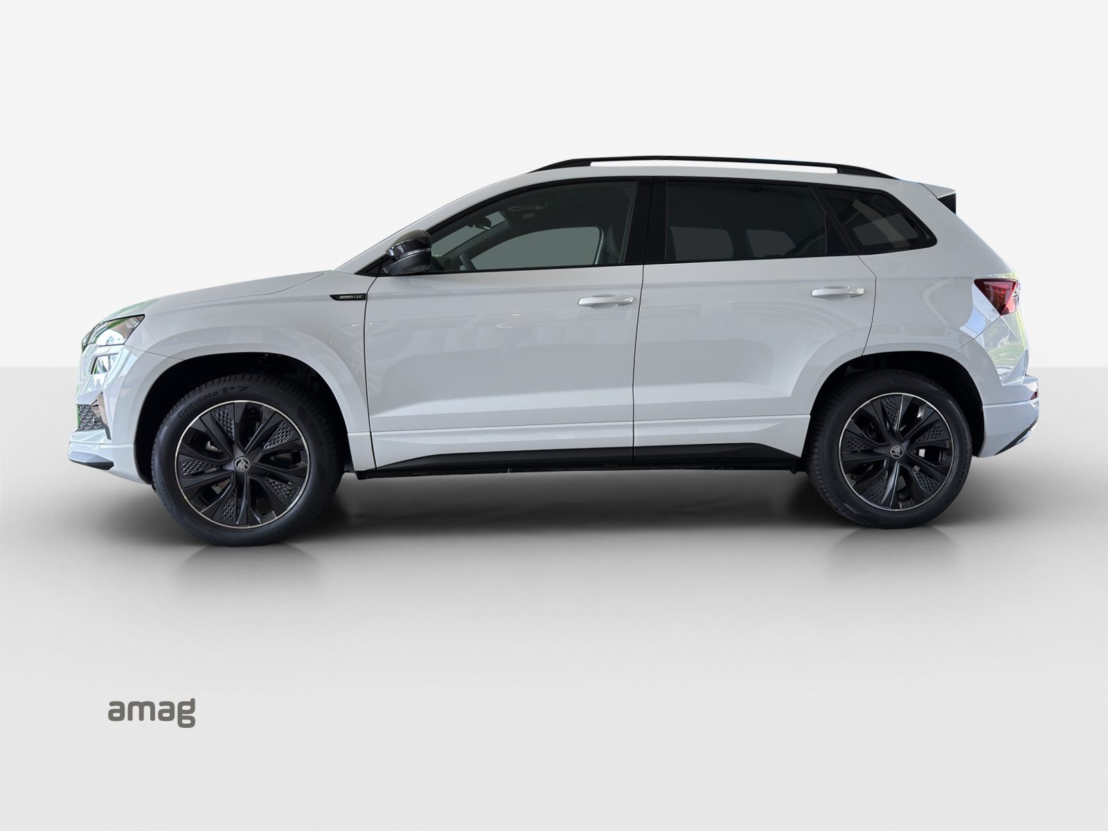 SKODA Karoq «Dynamic» Limited Edition (Netto), Benzina, Occasioni / Usate, Automatico - 2