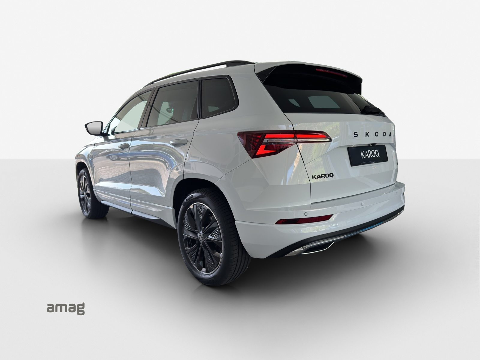 SKODA Karoq «Dynamic» Limited Edition (Netto), Benzina, Occasioni / Usate, Automatico - 3