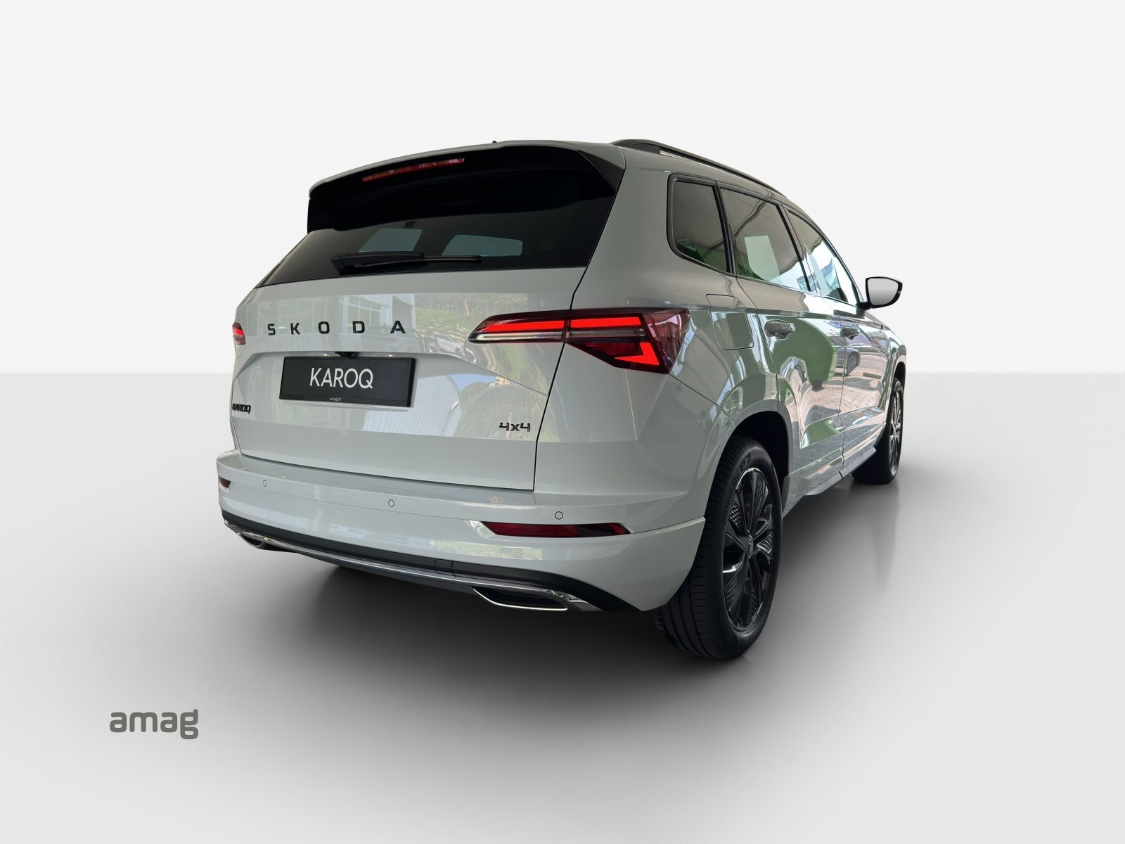 SKODA Karoq «Dynamic» Limited Edition (Netto), Benzina, Occasioni / Usate, Automatico - 5