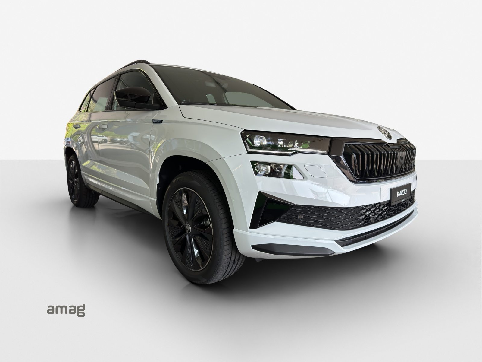 SKODA Karoq «Dynamic» Limited Edition (Netto), Benzina, Occasioni / Usate, Automatico - 6