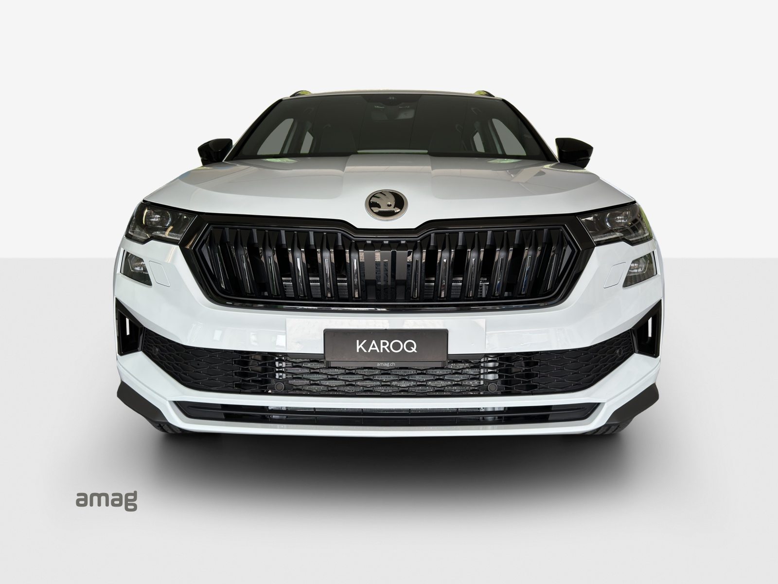 SKODA Karoq «Dynamic» Limited Edition (Netto), Benzina, Occasioni / Usate, Automatico - 7