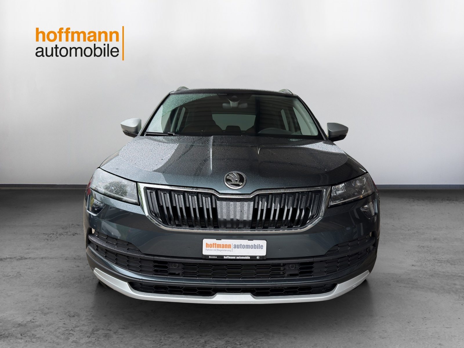 SKODA KAROQ Scout, Benzina, Occasioni / Usate, Automatico - 2