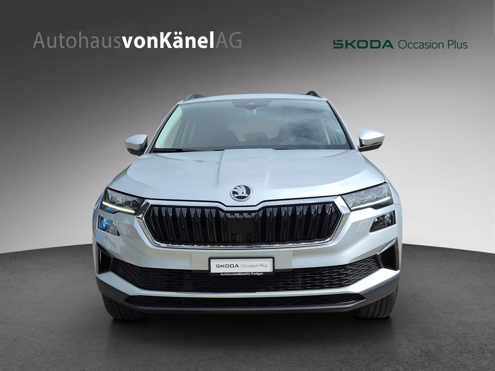 SKODA Karoq Selection, Diesel, Occasion / Gebraucht, Automatik - 4