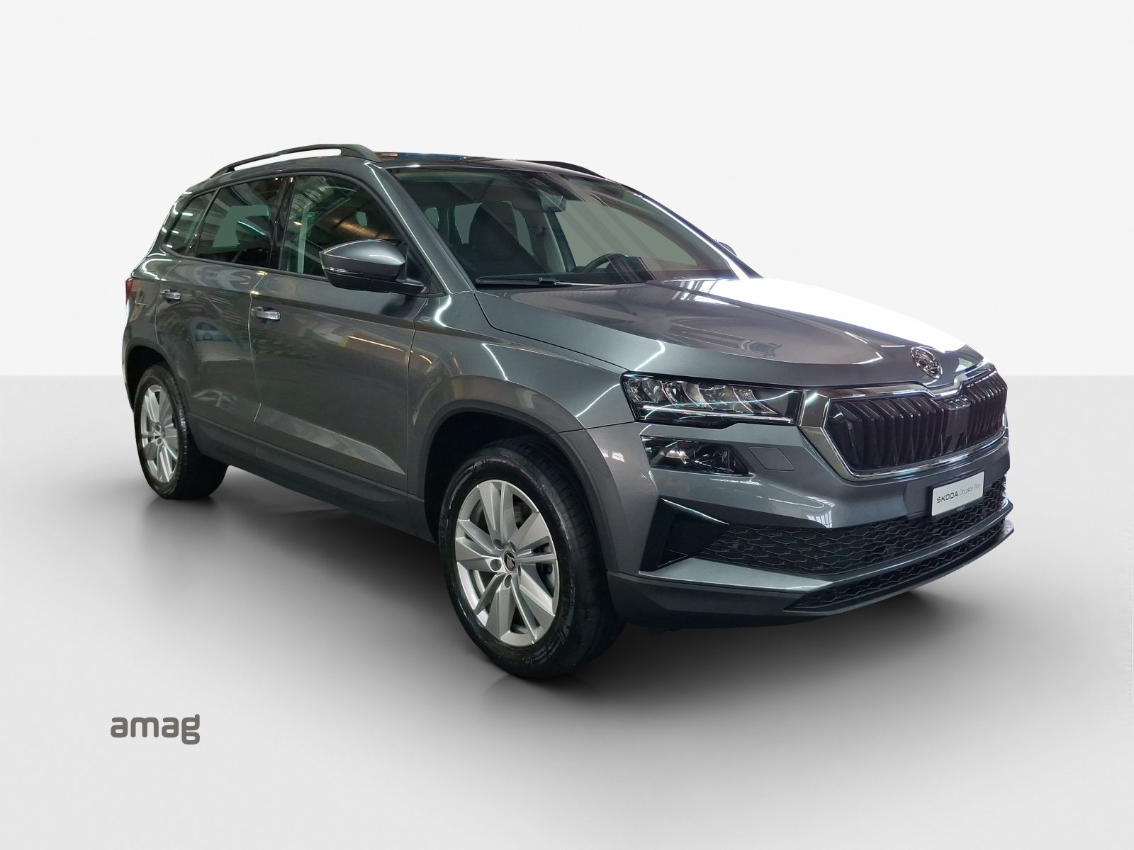 SKODA Karoq Selection, Diesel, Occasion / Gebraucht, Automatik - 6