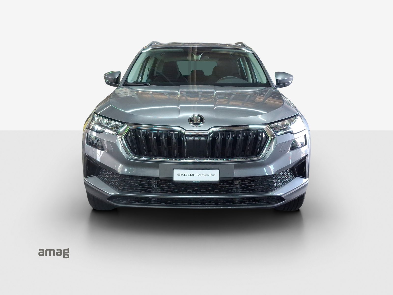 SKODA Karoq Selection, Diesel, Occasion / Gebraucht, Automatik - 7