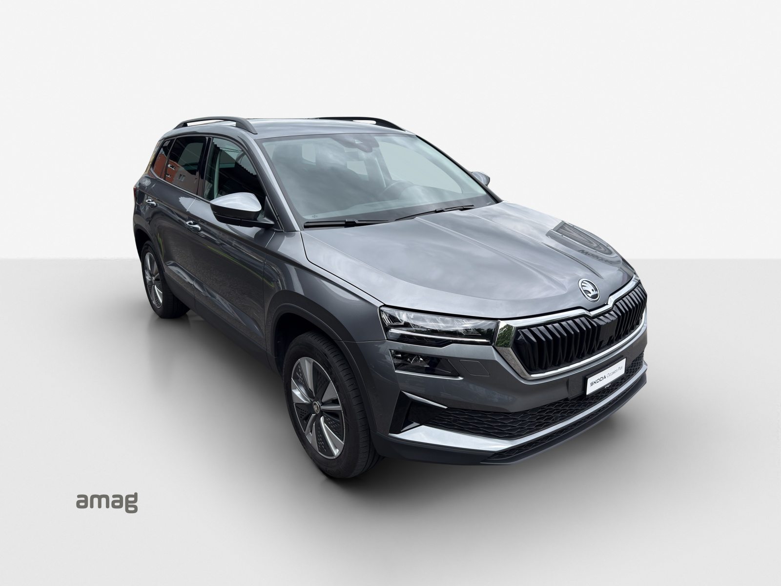 SKODA Karoq Ambition, Diesel, Occasion / Gebraucht, Automatik - 6
