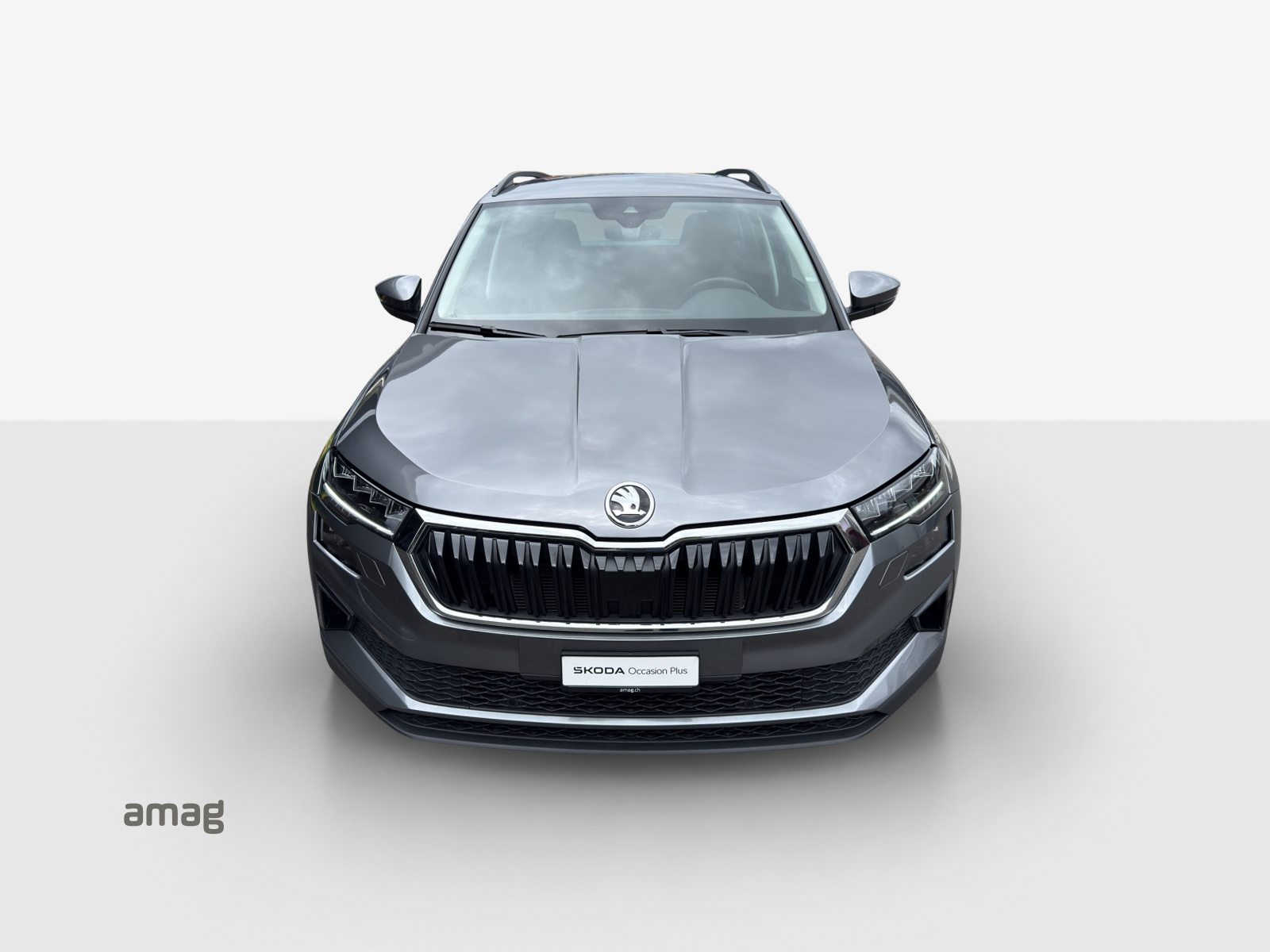 SKODA Karoq Ambition, Diesel, Occasion / Gebraucht, Automatik - 7