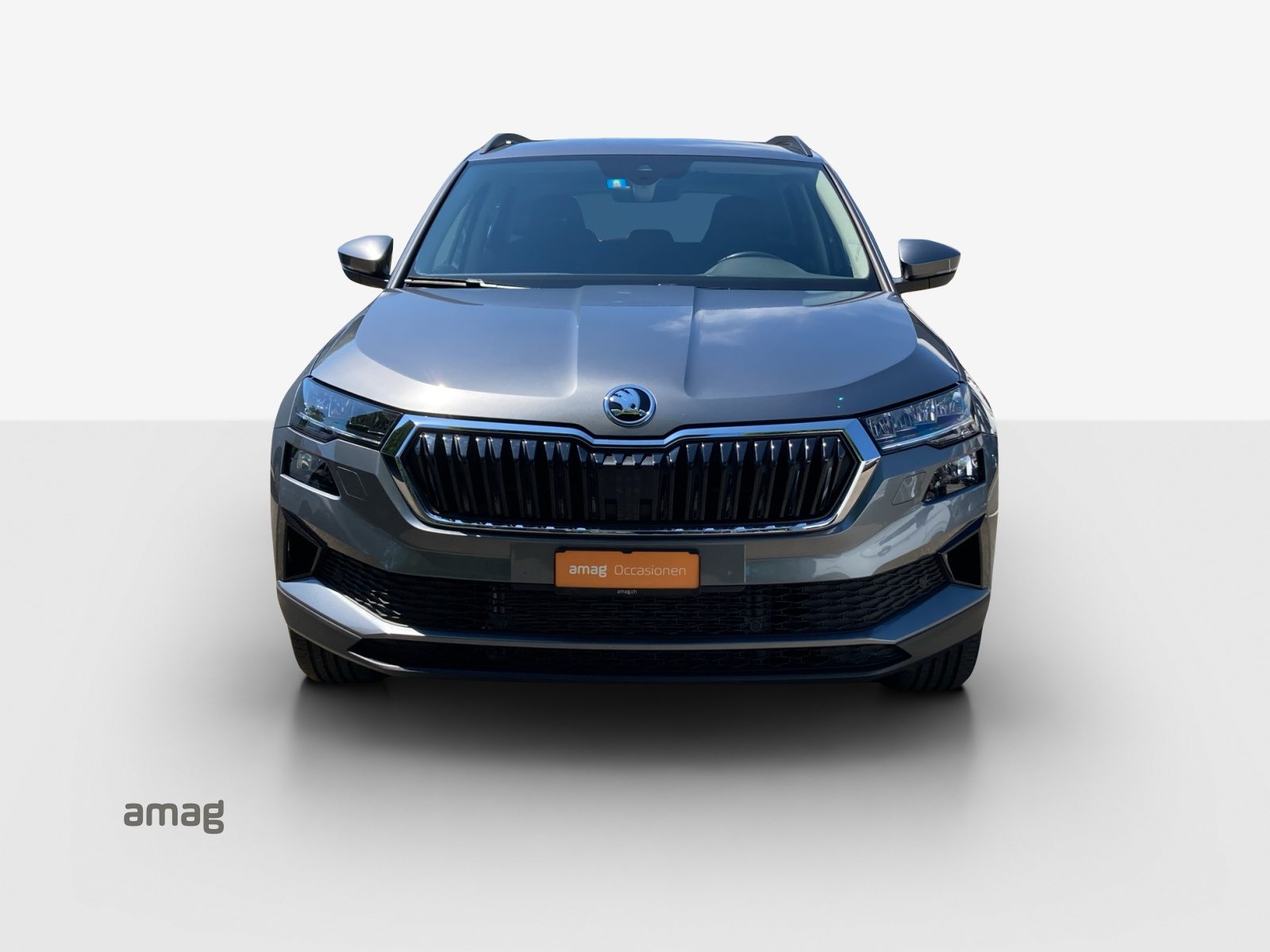 SKODA Karoq Ambition, Benzina, Occasioni / Usate, Automatico - 7