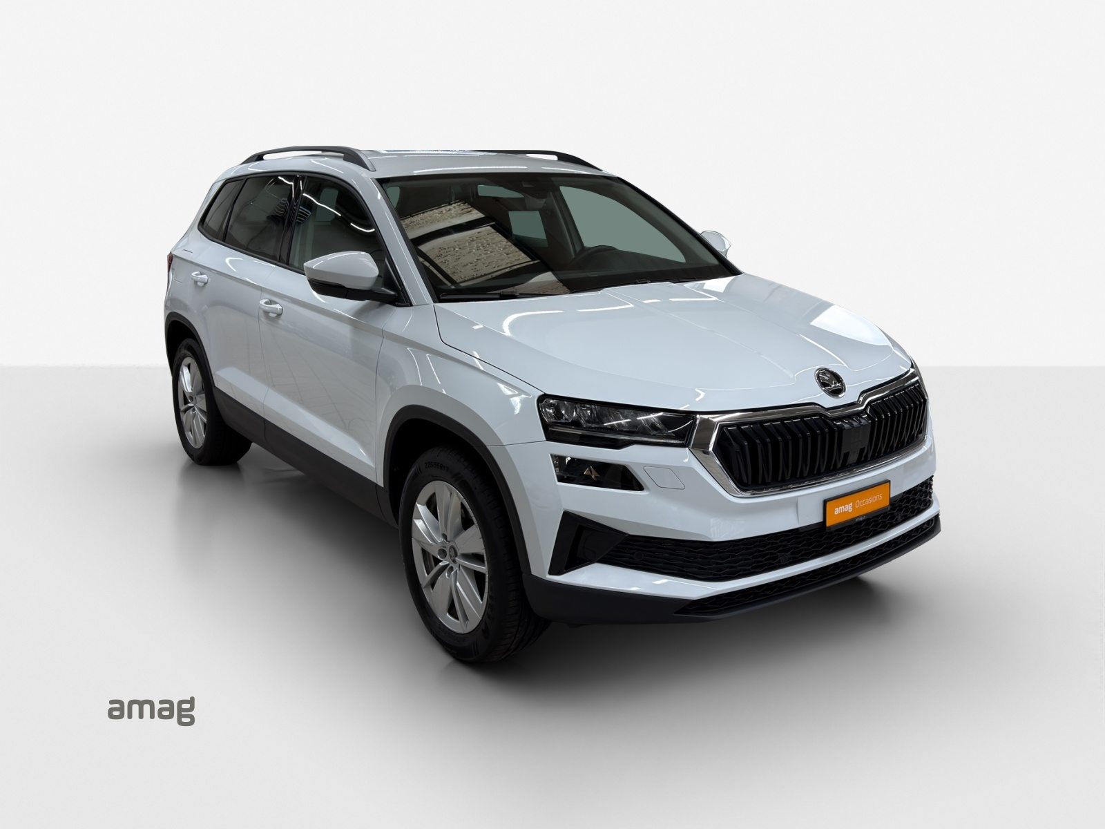 SKODA Karoq Selection, Diesel, Occasioni / Usate, Automatico - 6