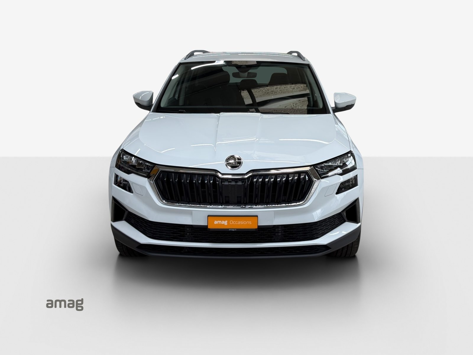 SKODA Karoq Selection, Diesel, Occasioni / Usate, Automatico - 7