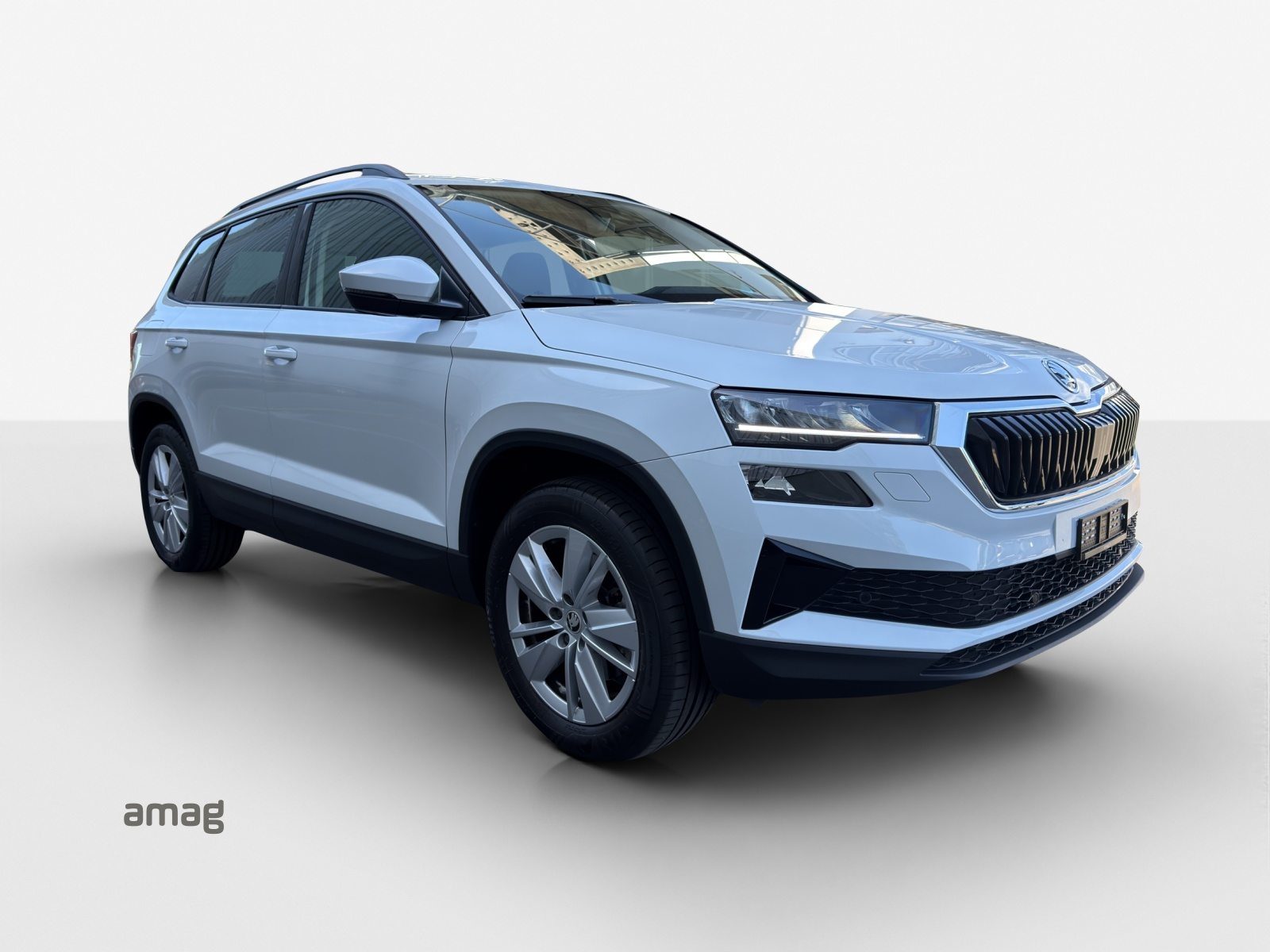 SKODA Karoq Selection, Diesel, Occasion / Gebraucht, Automatik - 6
