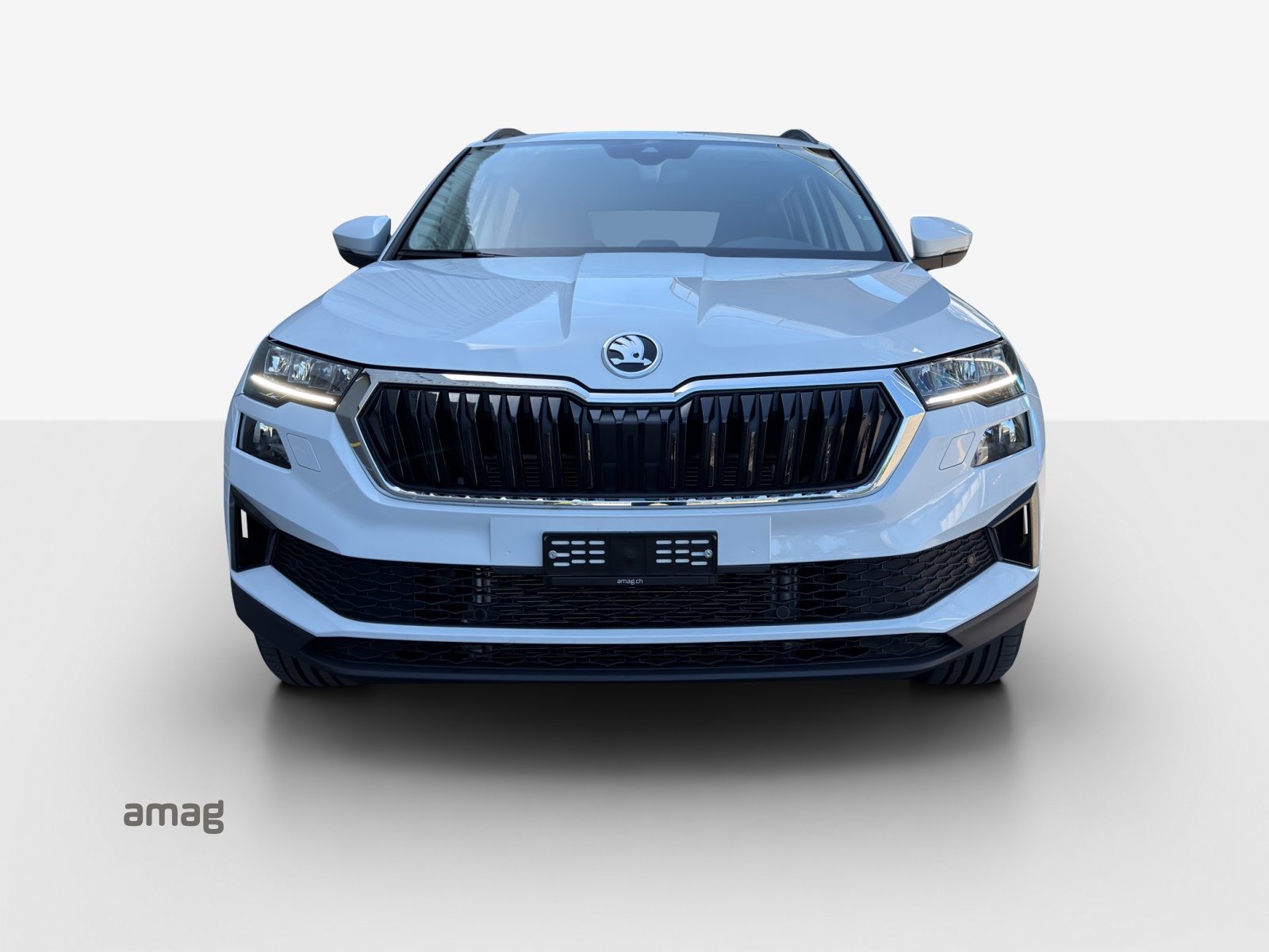 SKODA Karoq Selection, Diesel, Occasion / Gebraucht, Automatik - 7