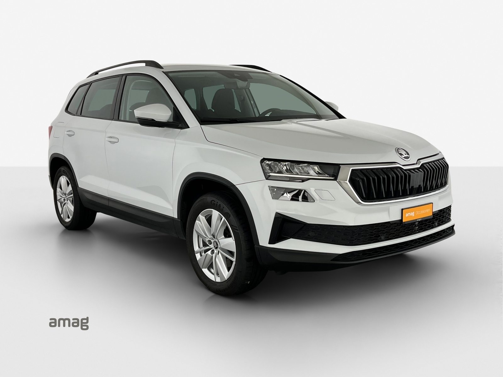 SKODA Karoq Selection, Diesel, Occasion / Utilisé, Automatique - 6