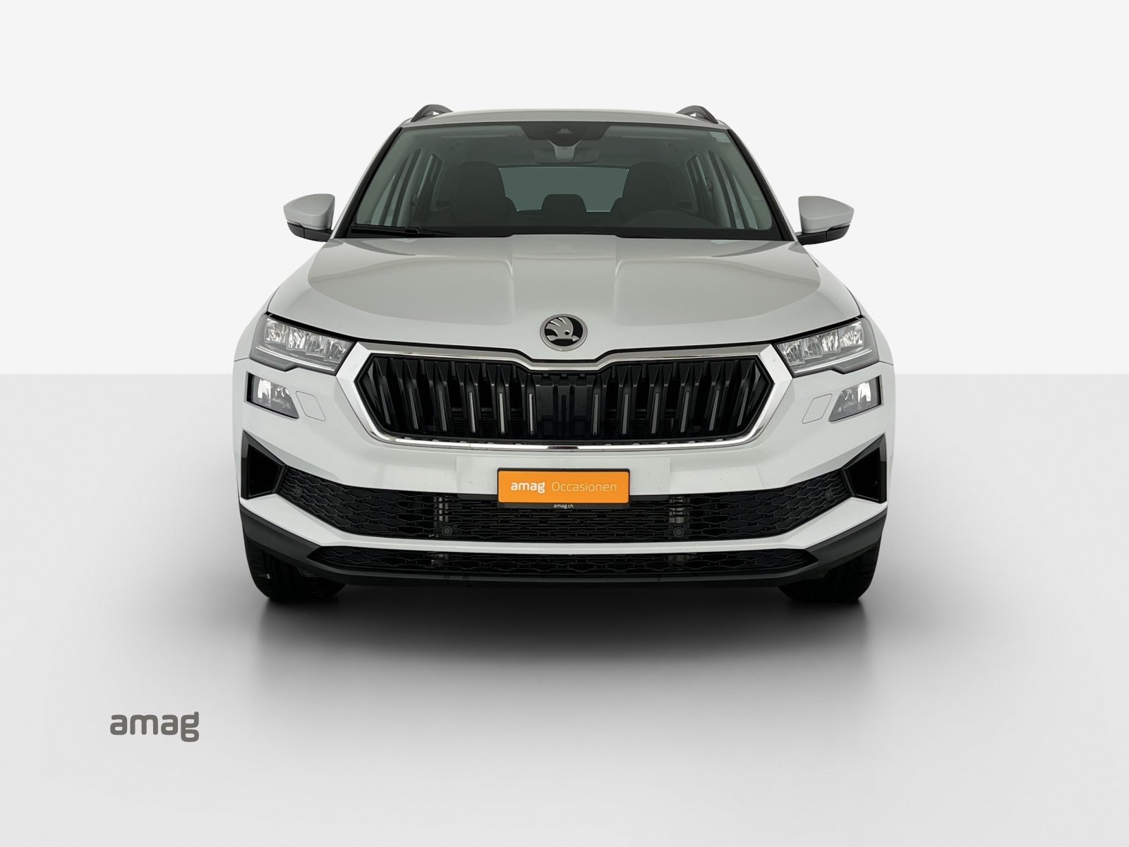 SKODA Karoq Selection, Diesel, Occasion / Utilisé, Automatique - 7