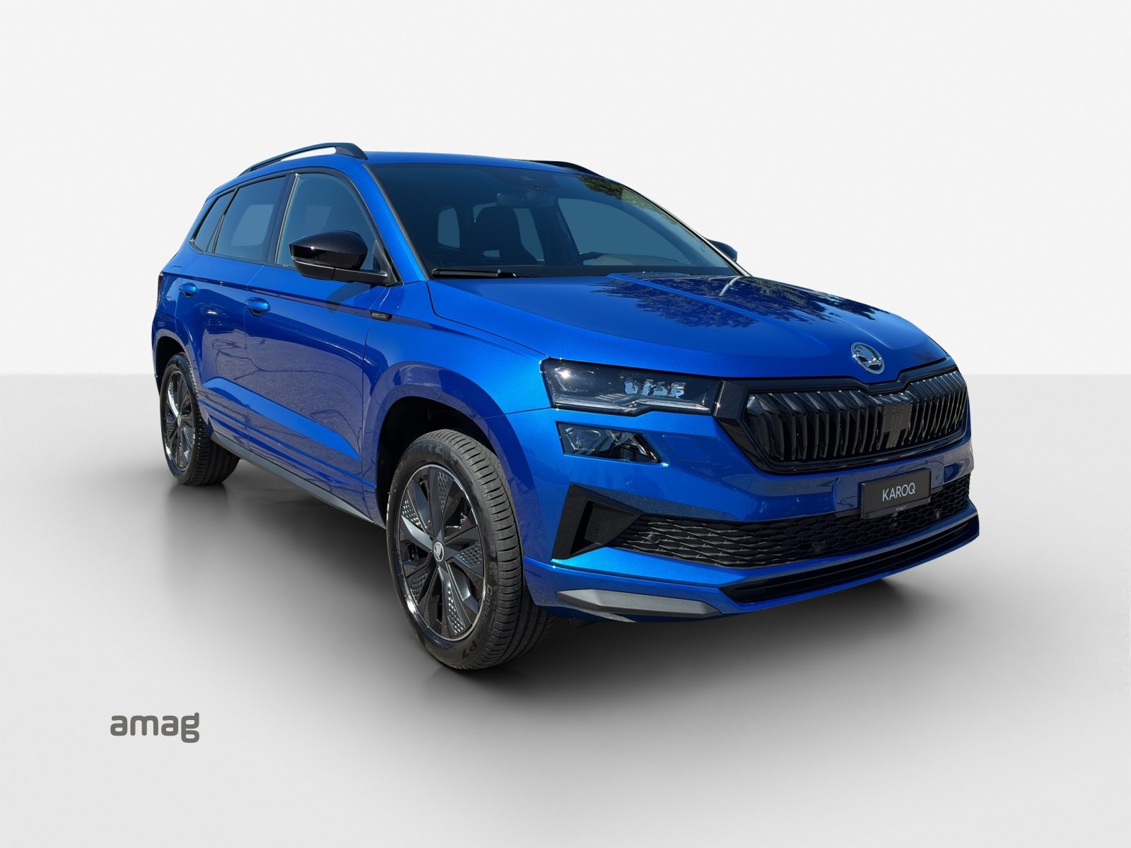 SKODA Karoq «Dynamic» Limited Edition (Netto), Benzina, Occasioni / Usate, Automatico - 6