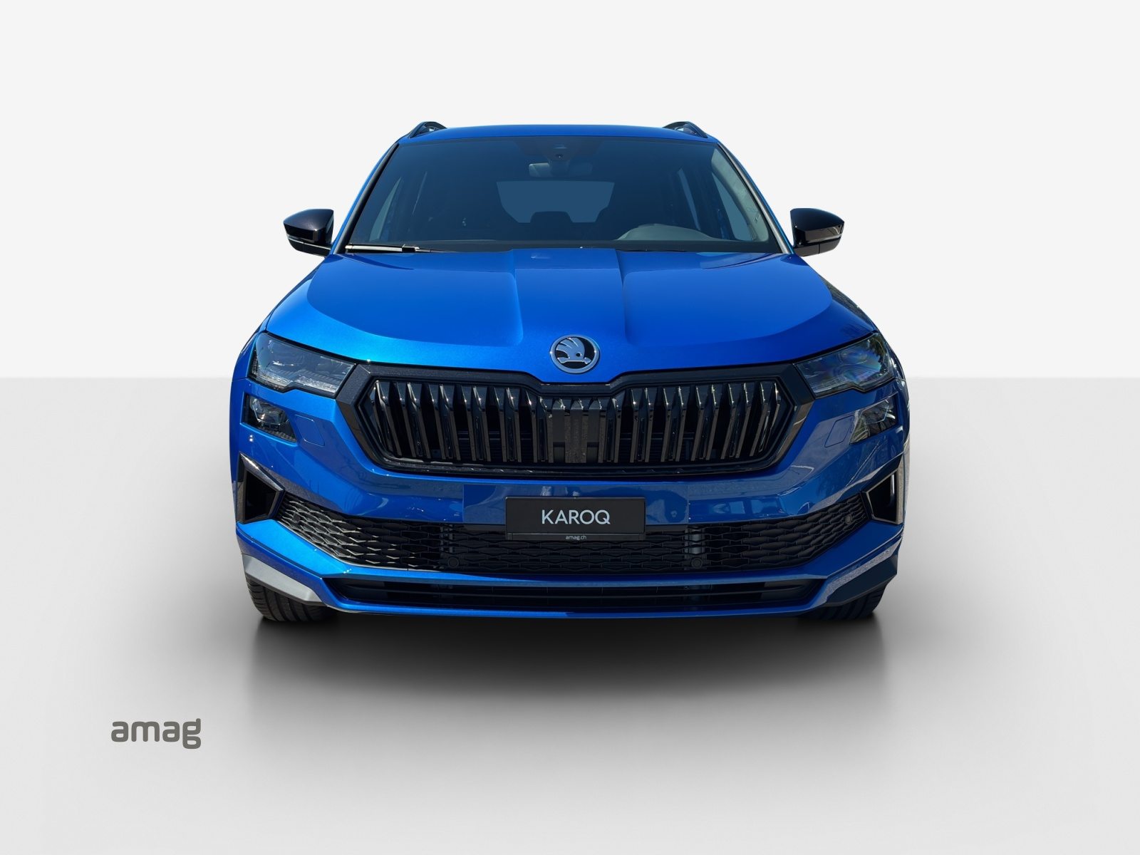 SKODA Karoq «Dynamic» Limited Edition (Netto), Benzina, Occasioni / Usate, Automatico - 7