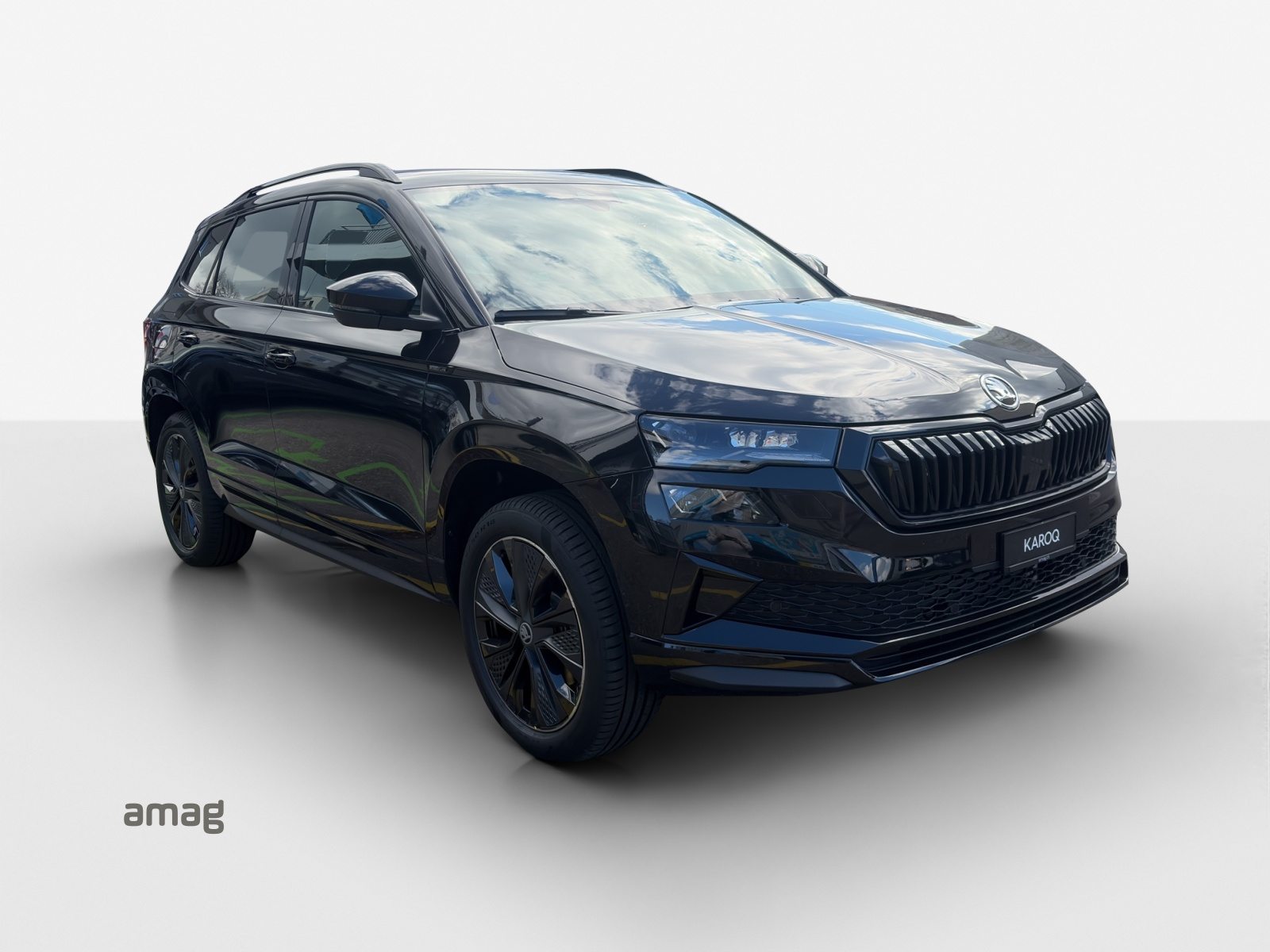 SKODA Karoq «Dynamic» Limited Edition (Netto), Benzina, Occasioni / Usate, Automatico - 6