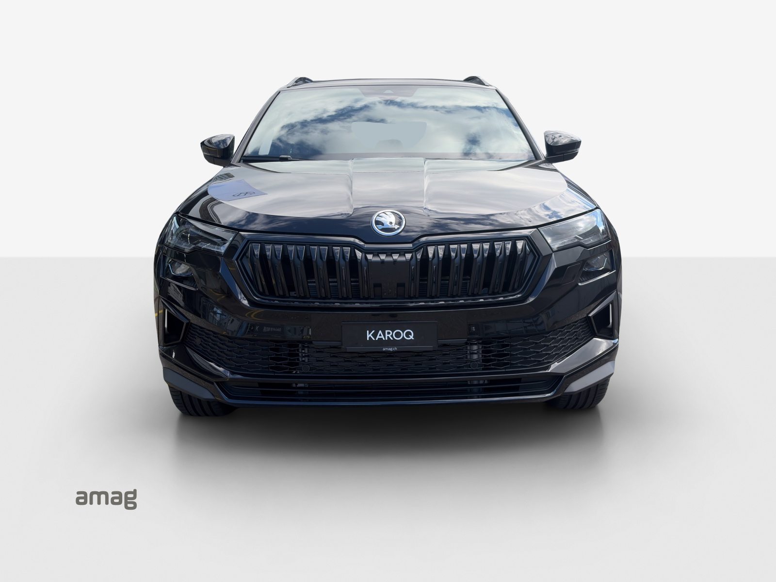 SKODA Karoq «Dynamic» Limited Edition (Netto), Benzina, Occasioni / Usate, Automatico - 7