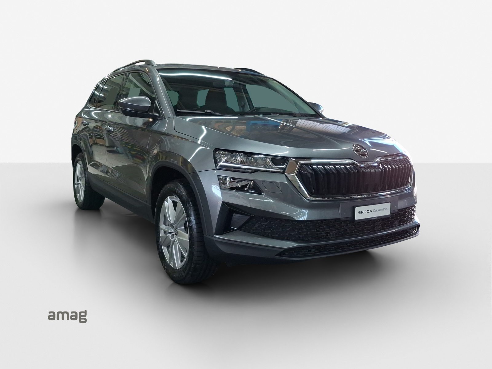 SKODA Karoq Selection, Diesel, Occasioni / Usate, Automatico - 6