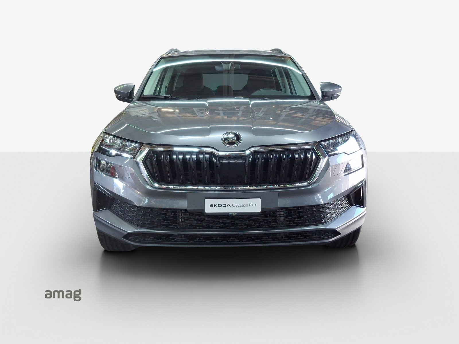 SKODA Karoq Selection, Diesel, Occasioni / Usate, Automatico - 7