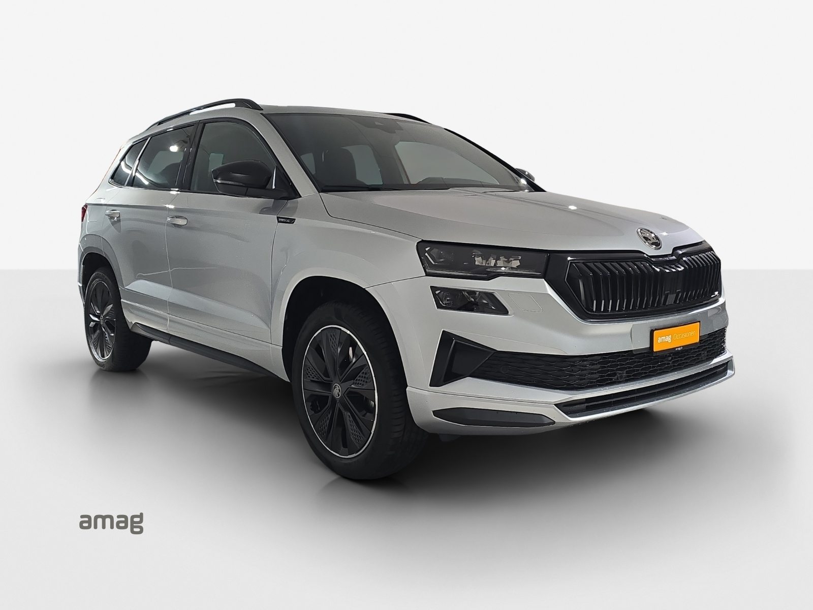 SKODA Karoq Sportline, Essence, Occasion / Utilisé, Automatique - 6
