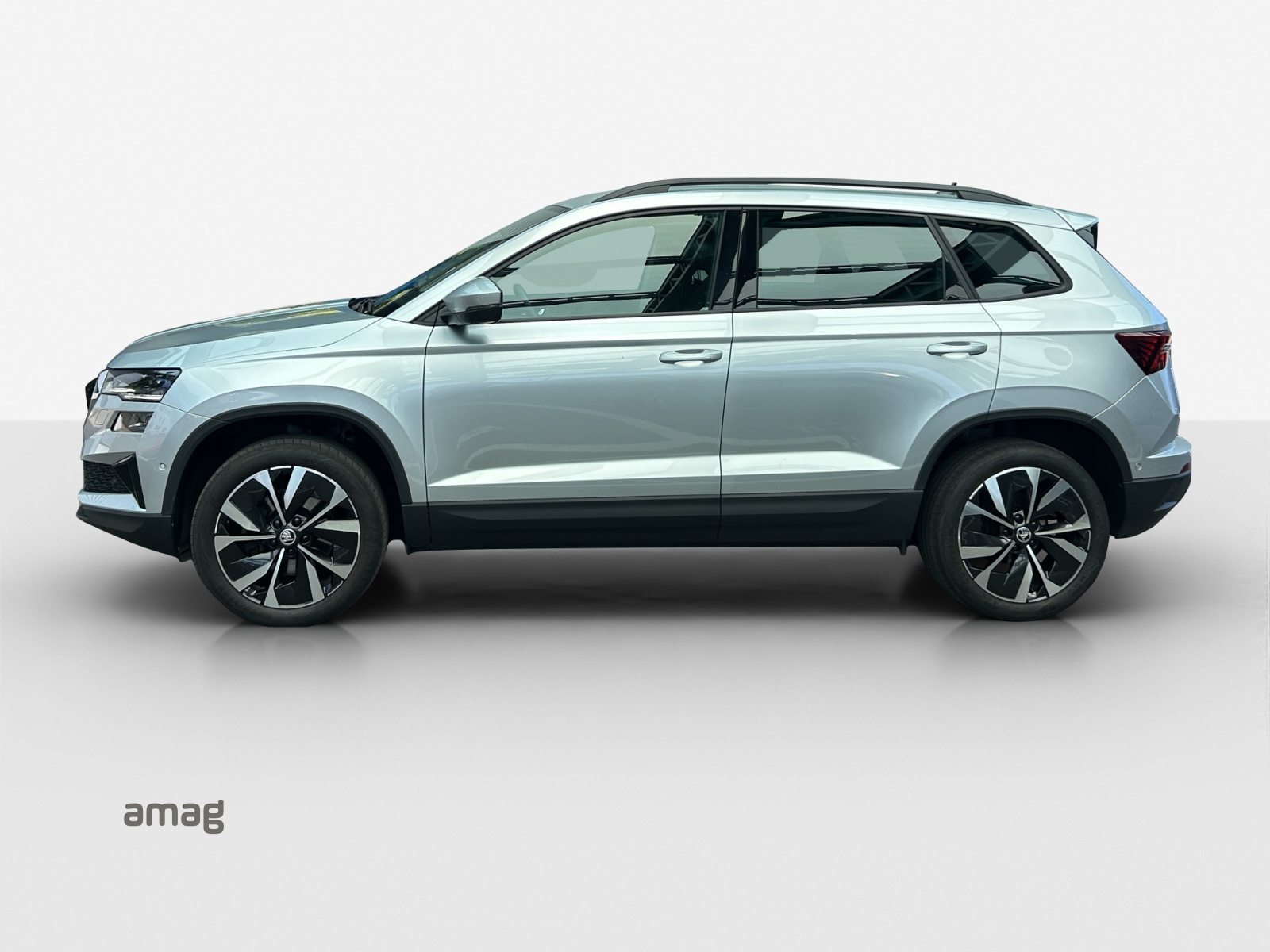 SKODA Karoq Style, Benzina, Occasioni / Usate, Automatico - 2