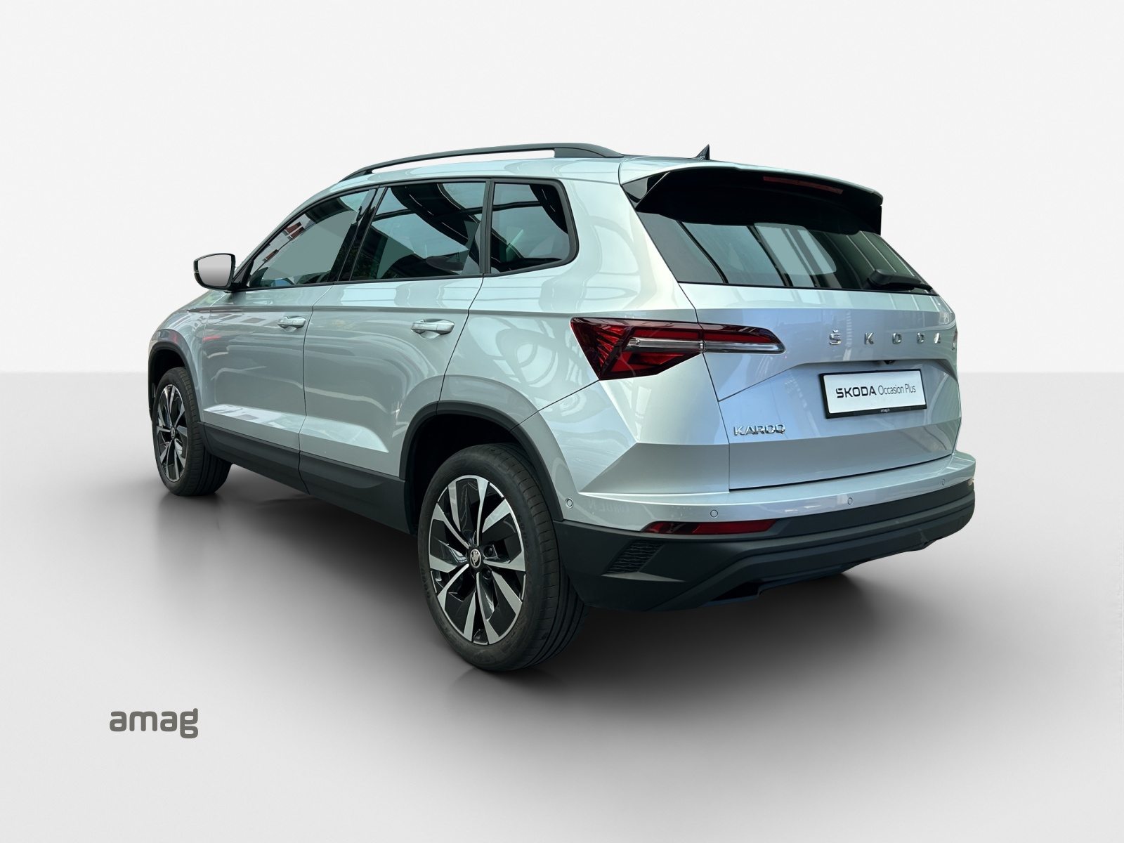 SKODA Karoq Style, Benzina, Occasioni / Usate, Automatico - 3