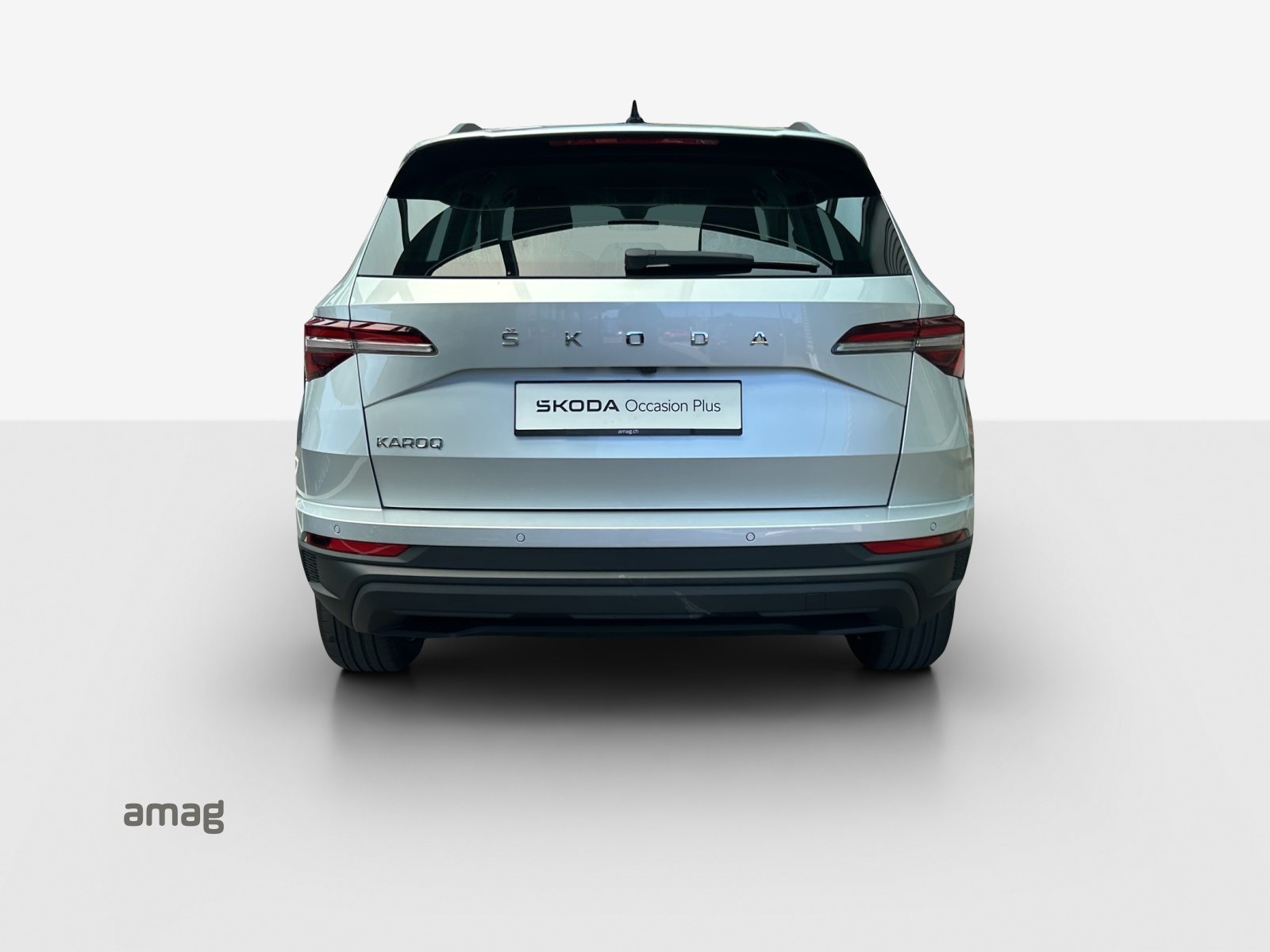 SKODA Karoq Style, Benzina, Occasioni / Usate, Automatico - 4
