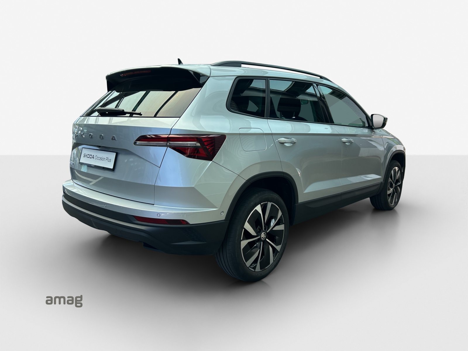 SKODA Karoq Style, Benzina, Occasioni / Usate, Automatico - 5