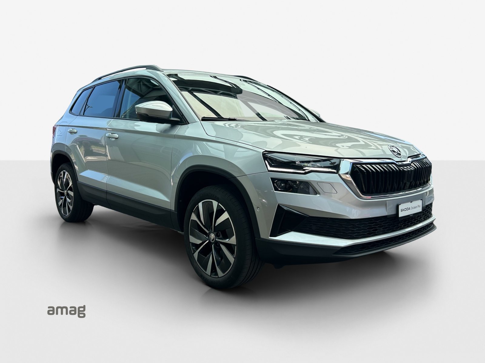 SKODA Karoq Style, Benzina, Occasioni / Usate, Automatico - 6