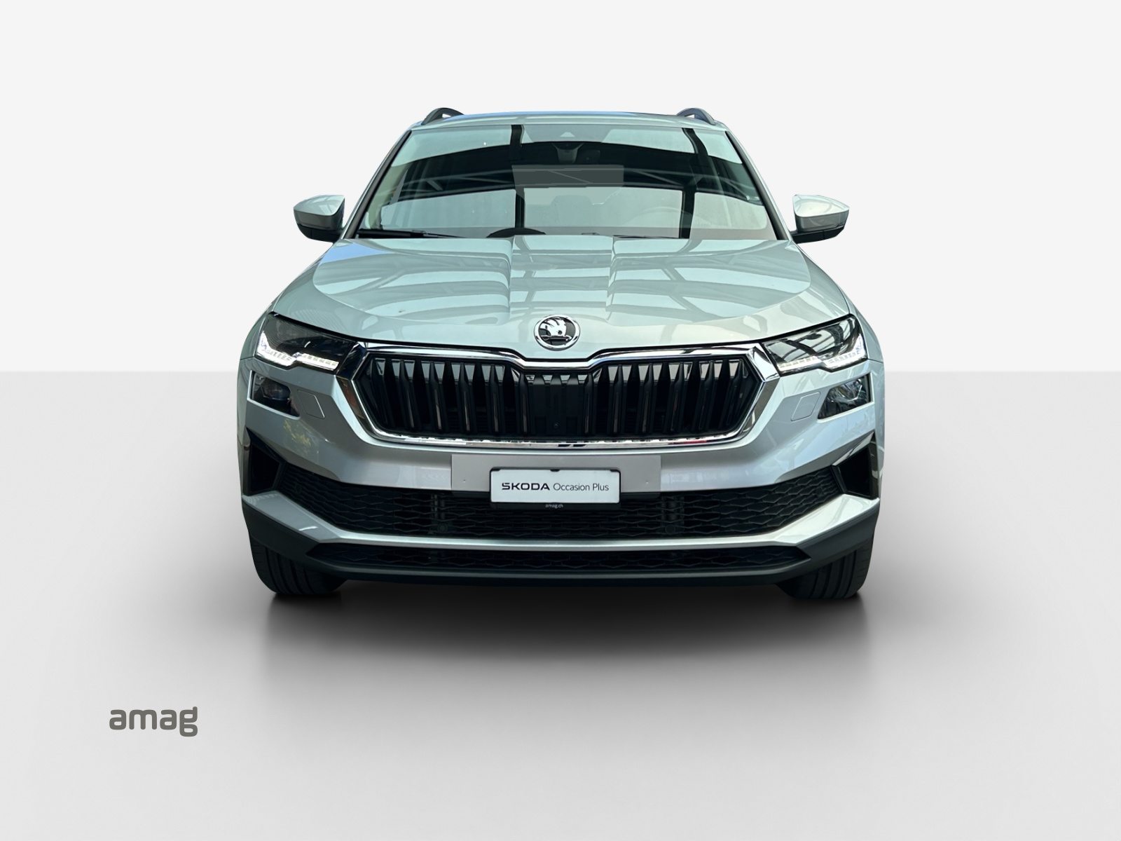 SKODA Karoq Style, Benzina, Occasioni / Usate, Automatico - 7
