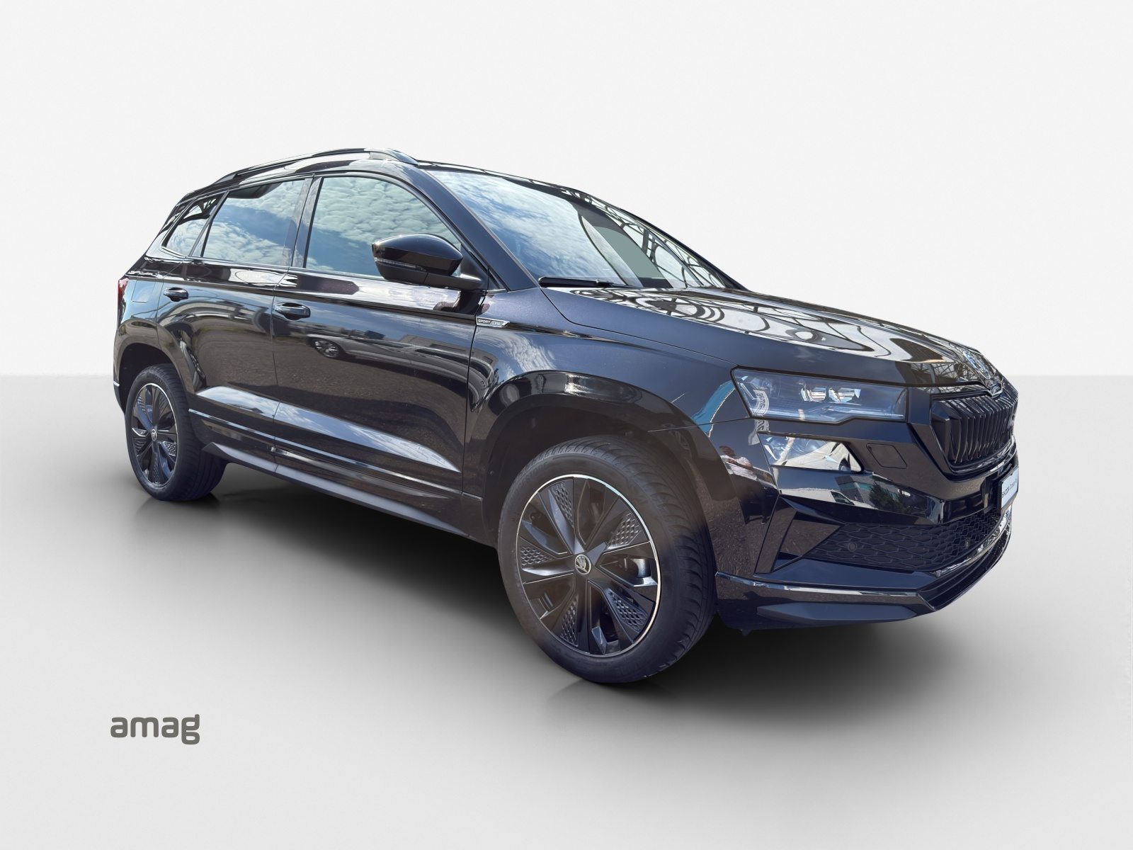 SKODA Karoq SportLine, Essence, Occasion / Utilisé, Automatique - 6