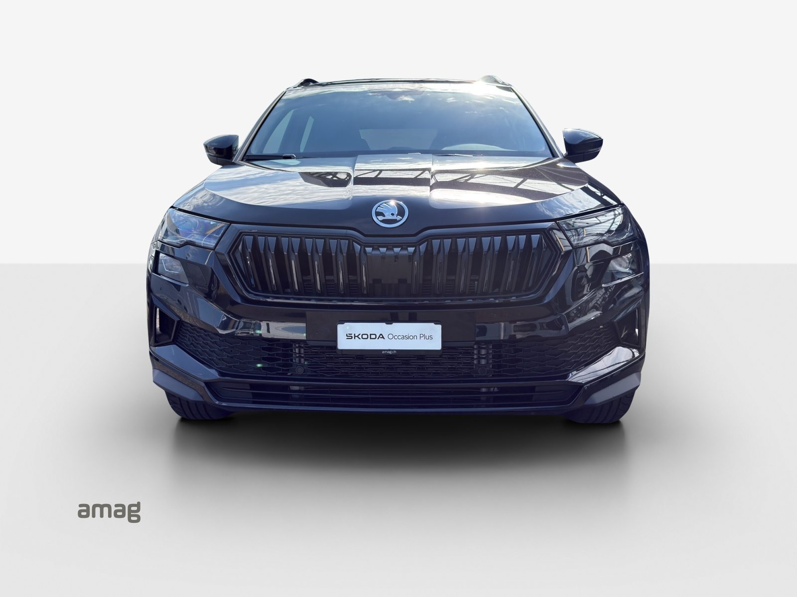 SKODA Karoq SportLine, Essence, Occasion / Utilisé, Automatique - 7