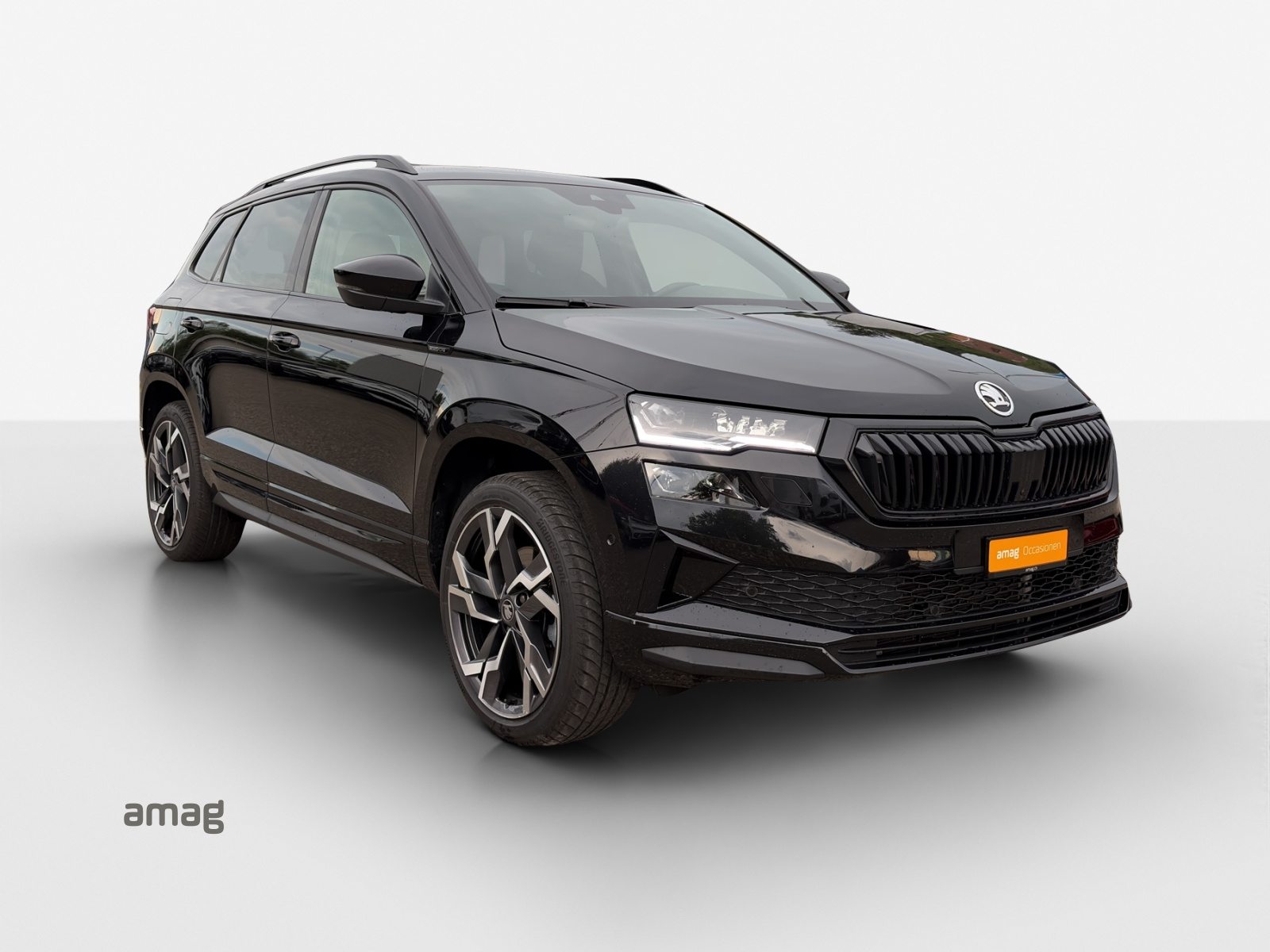 SKODA Karoq Sportline, Essence, Occasion / Utilisé, Automatique - 6