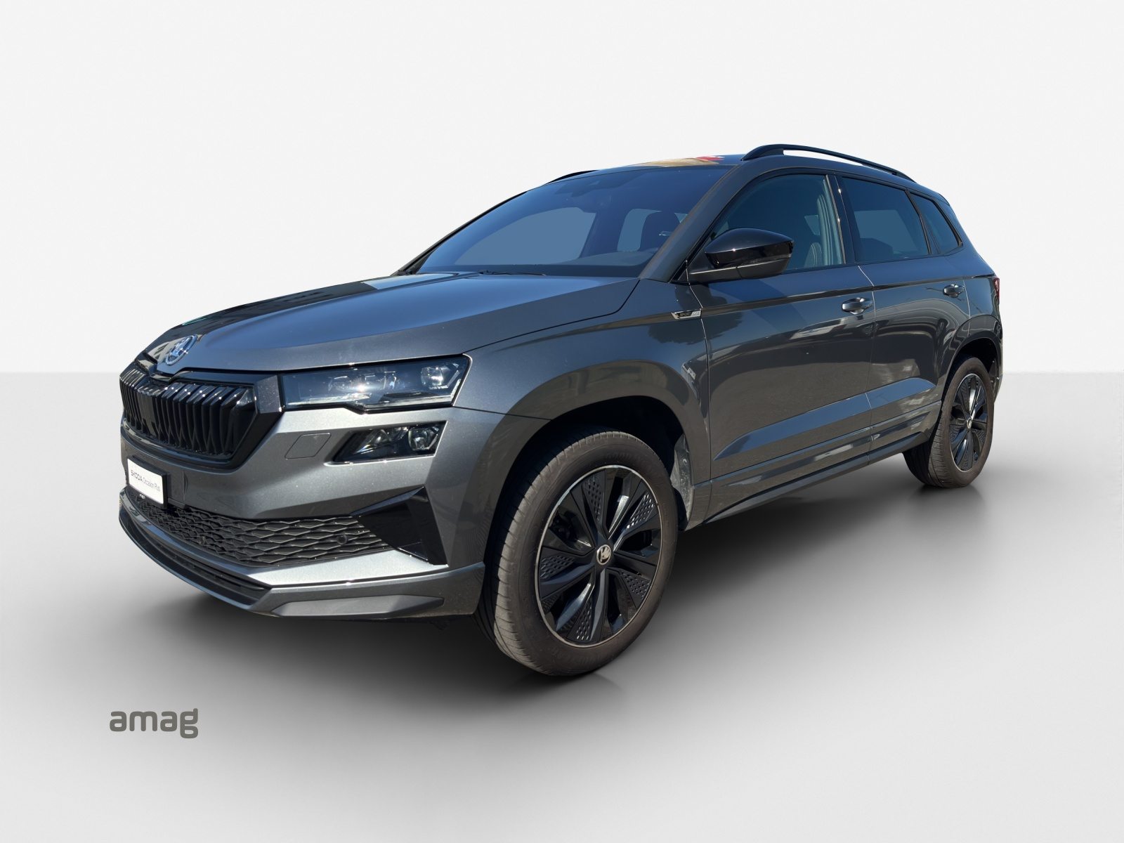 SKODA Karoq SportLine, Benzina, Occasioni / Usate, Automatico - 2