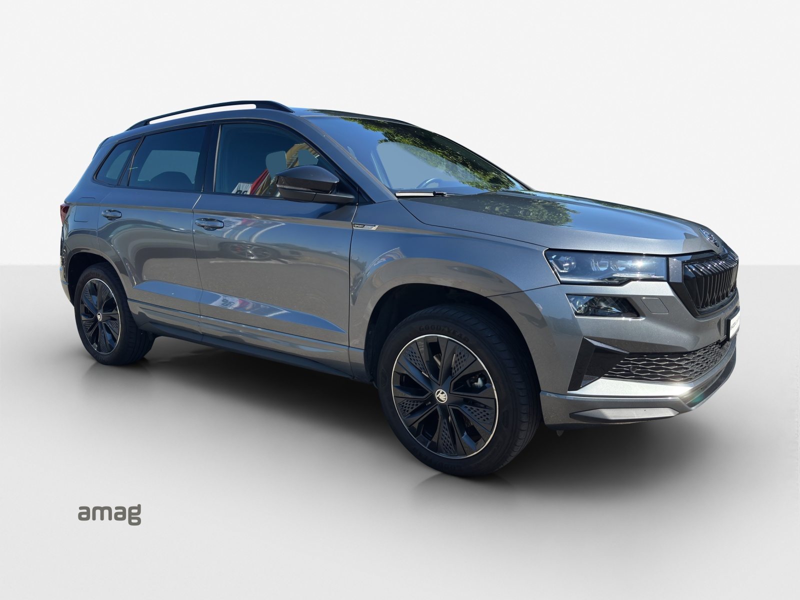 SKODA Karoq SportLine, Benzina, Occasioni / Usate, Automatico - 7