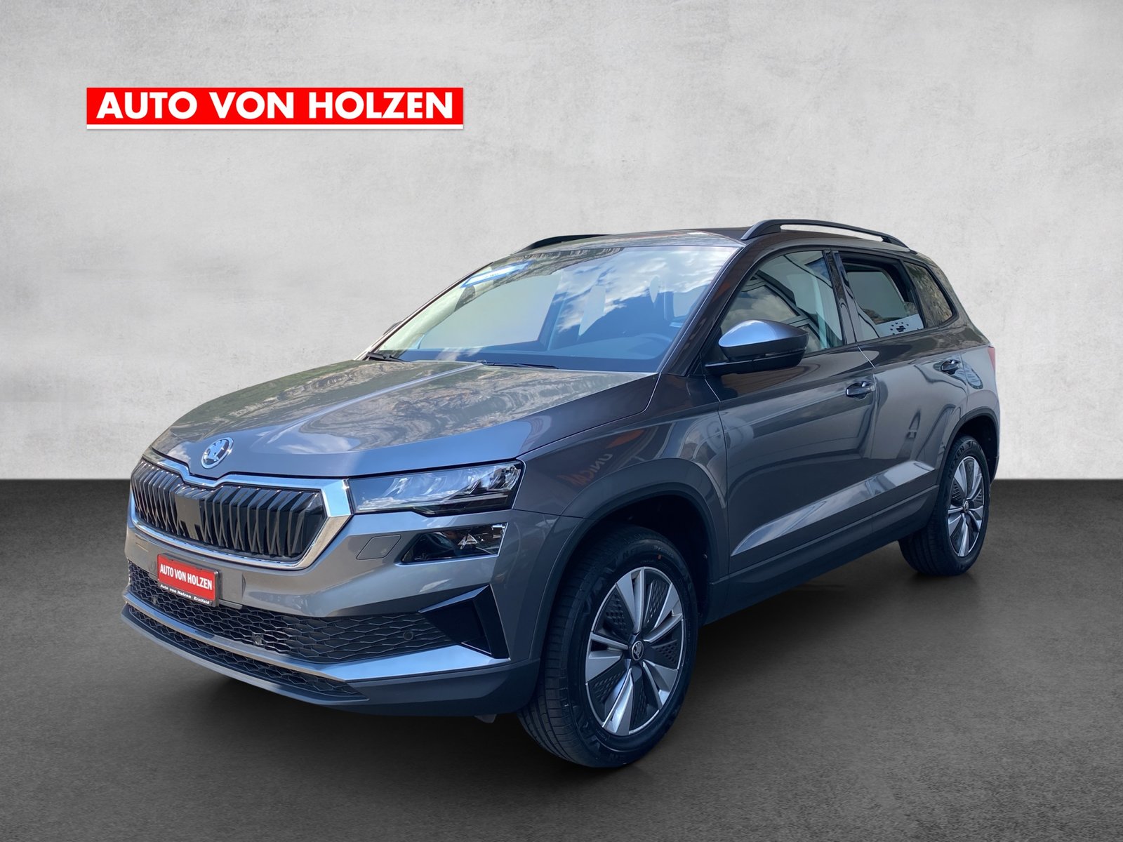 SKODA Karoq 2.0 TDI CR Ambition 4x4 DSG, Diesel, Occasioni / Usate, Automatico - 2