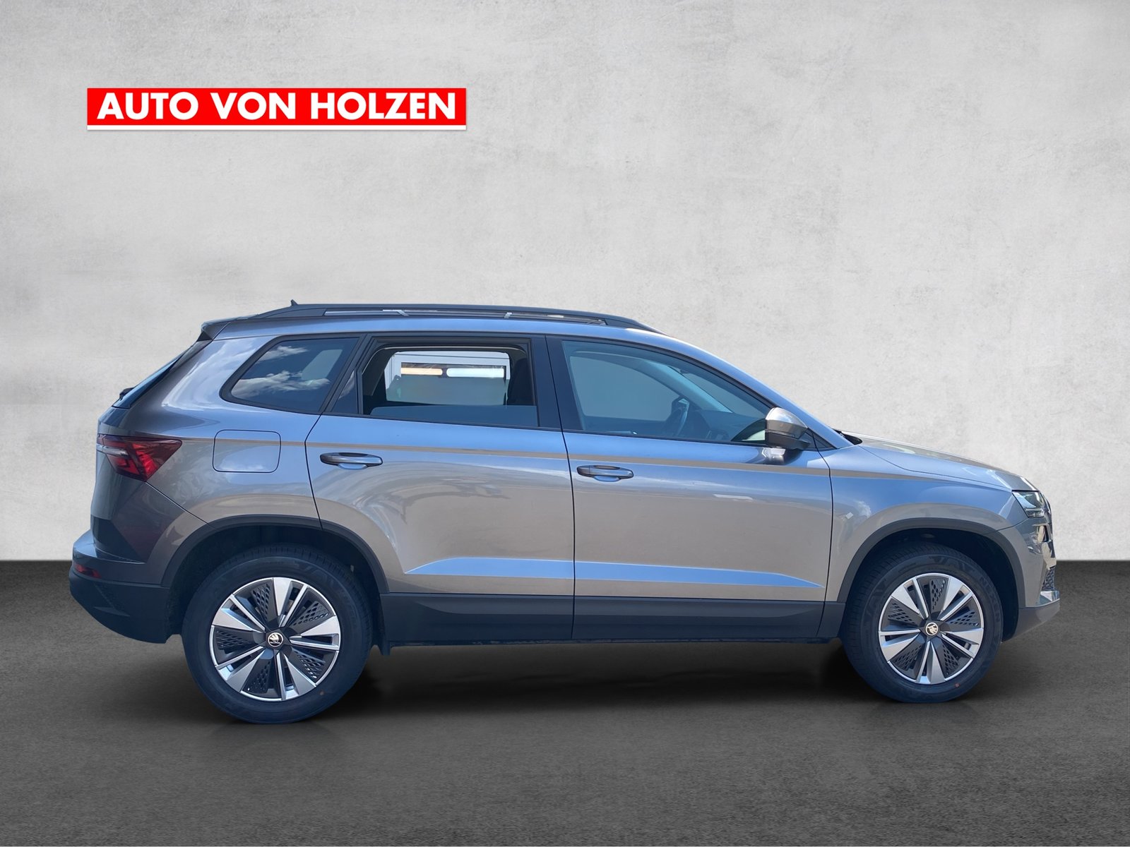 SKODA Karoq 2.0 TDI CR Ambition 4x4 DSG, Diesel, Occasioni / Usate, Automatico - 6
