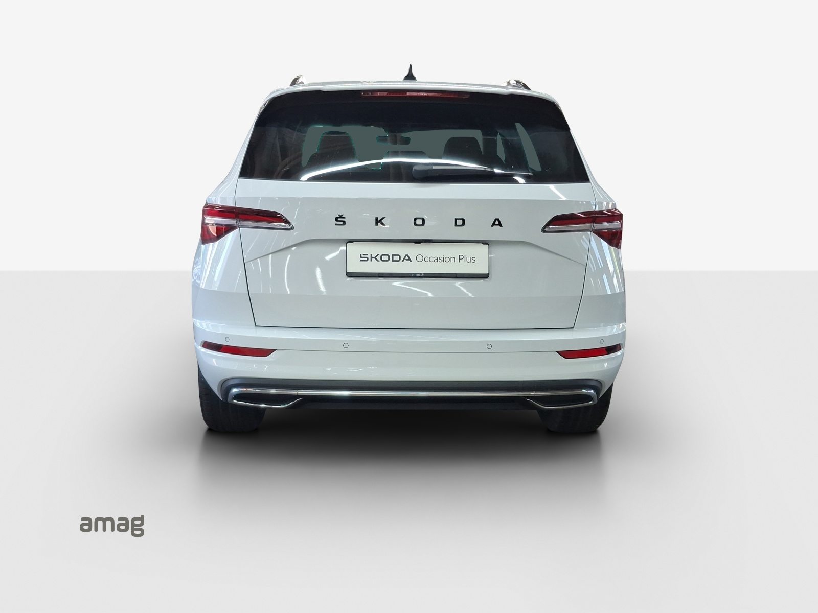 SKODA NEW KAROQ SportLine, Benzina, Occasioni / Usate, Automatico - 4