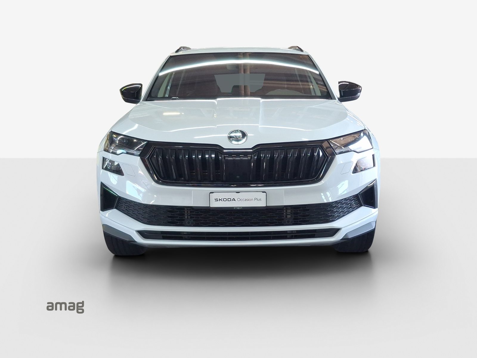 SKODA NEW KAROQ SportLine, Benzina, Occasioni / Usate, Automatico - 6