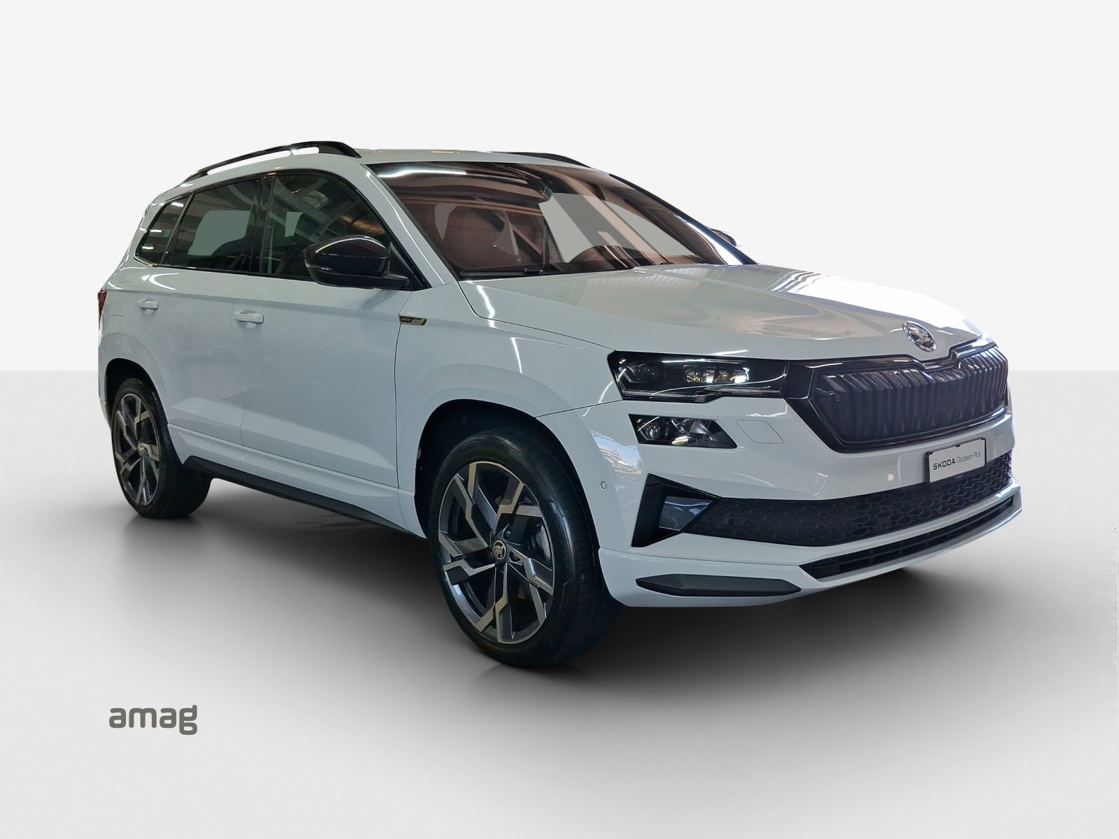 SKODA NEW KAROQ SportLine, Benzina, Occasioni / Usate, Automatico - 7