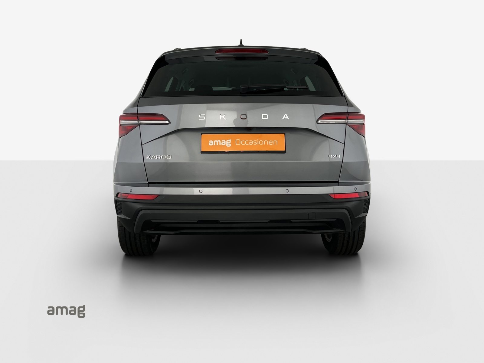 SKODA Karoq Selection, Diesel, Occasioni / Usate, Automatico - 4